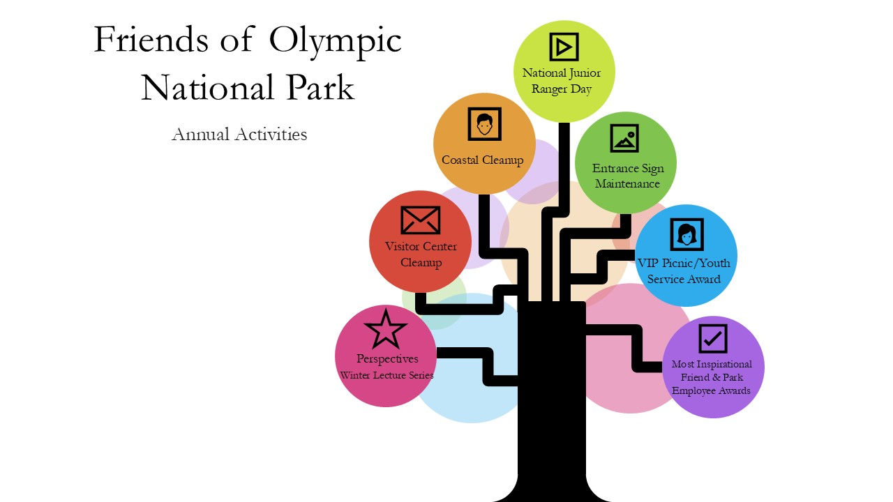 Chart of the annual activities of Friends of Olympic National Park