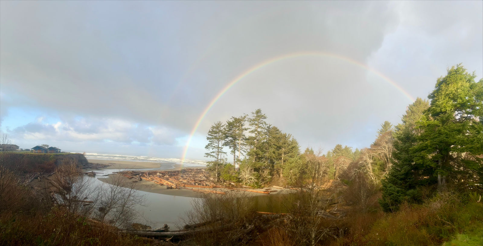 Landscape from a Friends of Olympic National Park project site