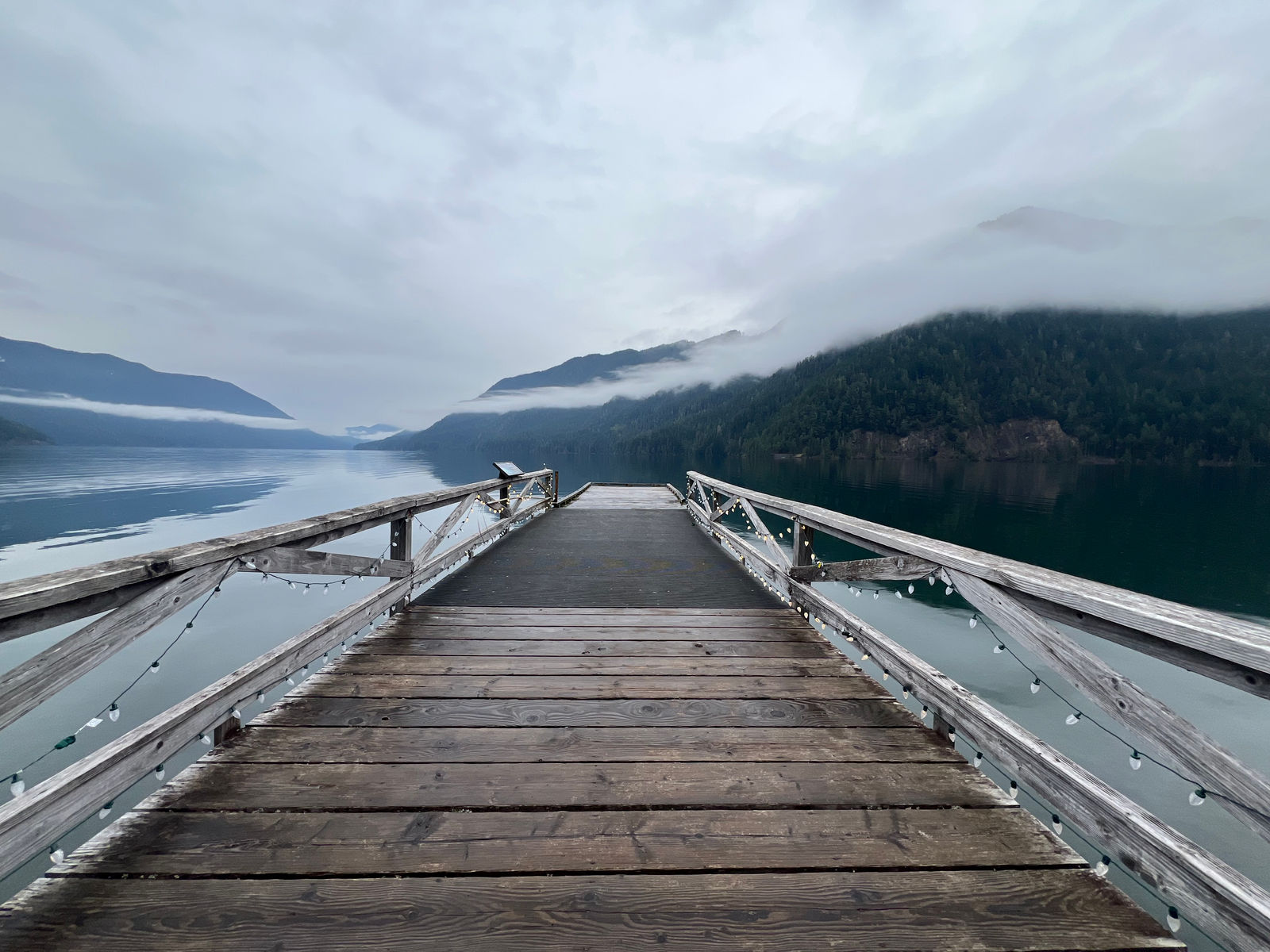 Landscape from a Friends of Olympic National Park project site