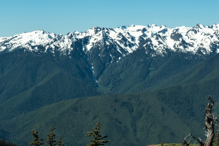Olympic Mountains Geology: How the Range Formed