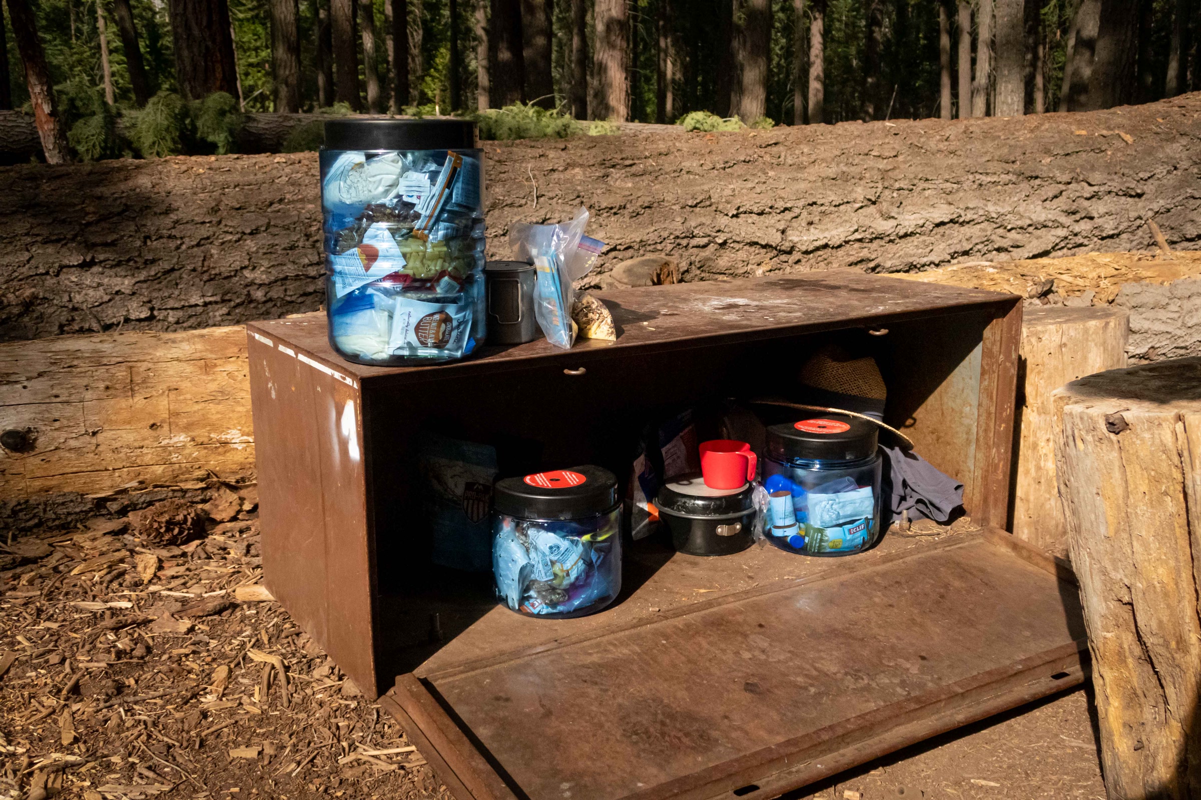 Clear blue bear-resistant food canisters sitting on and inside an open metal food storage locker at a forest campsite