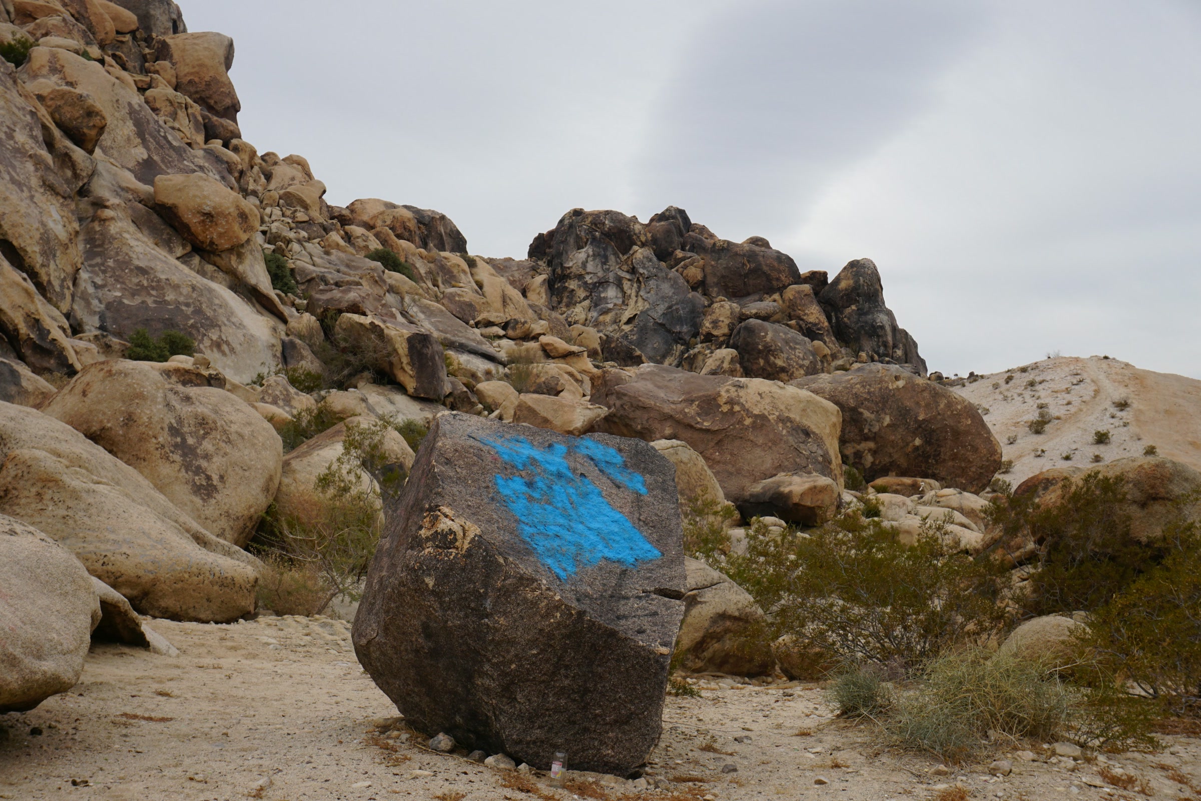 A dark boulder marked with a large patch of bright blue spray paint among natural rocks and dry brush