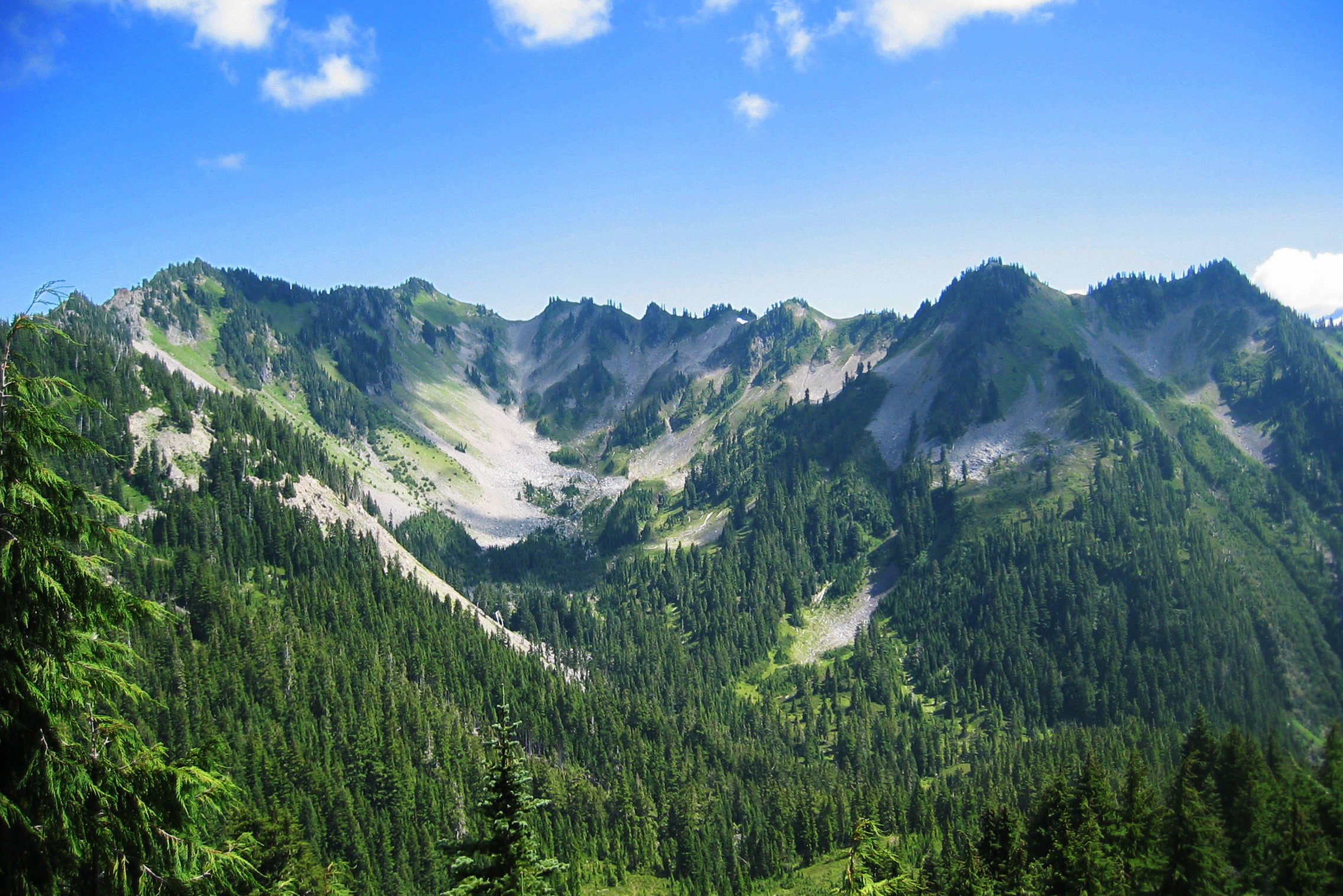 Rocky ridges around Bogachiel Peak above a deep forested valley in Olympic National Park on a clear summer day