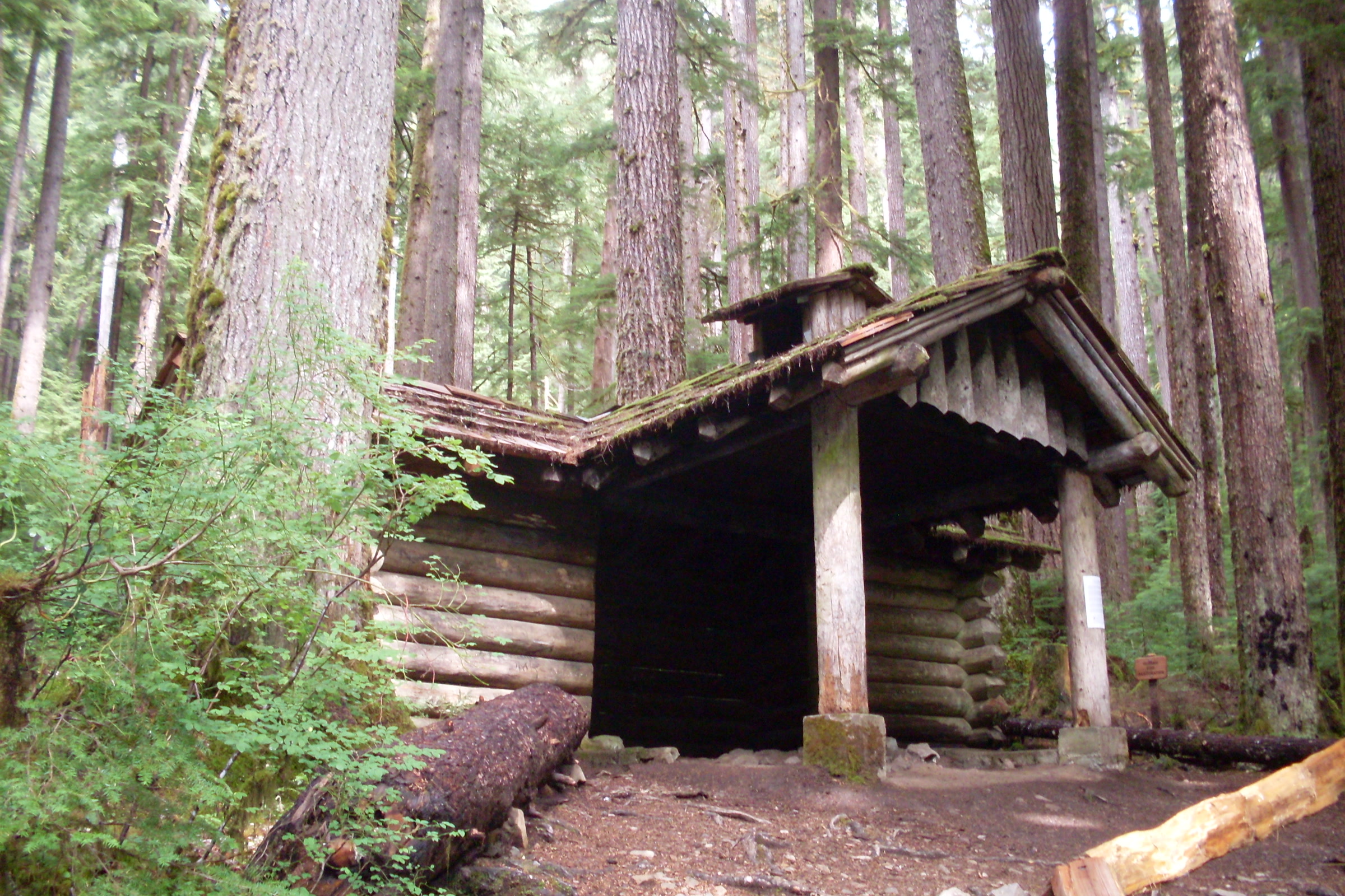 Canyon Creek Shelter, an open-fronted log trail shelter with a shake roof, among tall old-growth trees near Sol Duc Falls