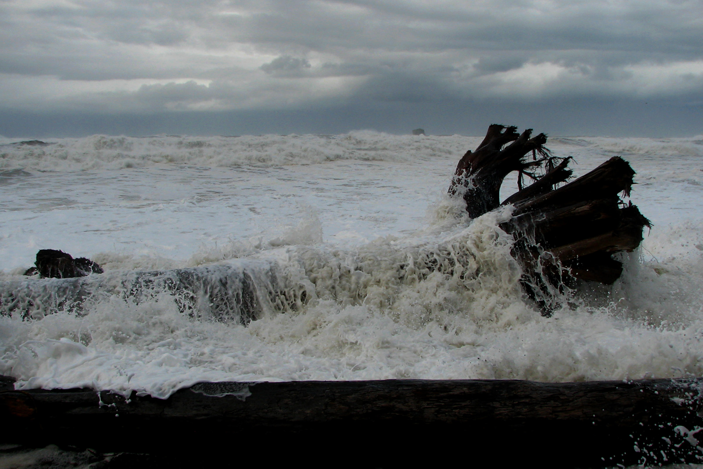 A large drift log with its root wad being lifted by breaking surf on Rialto Beach under a grey sky