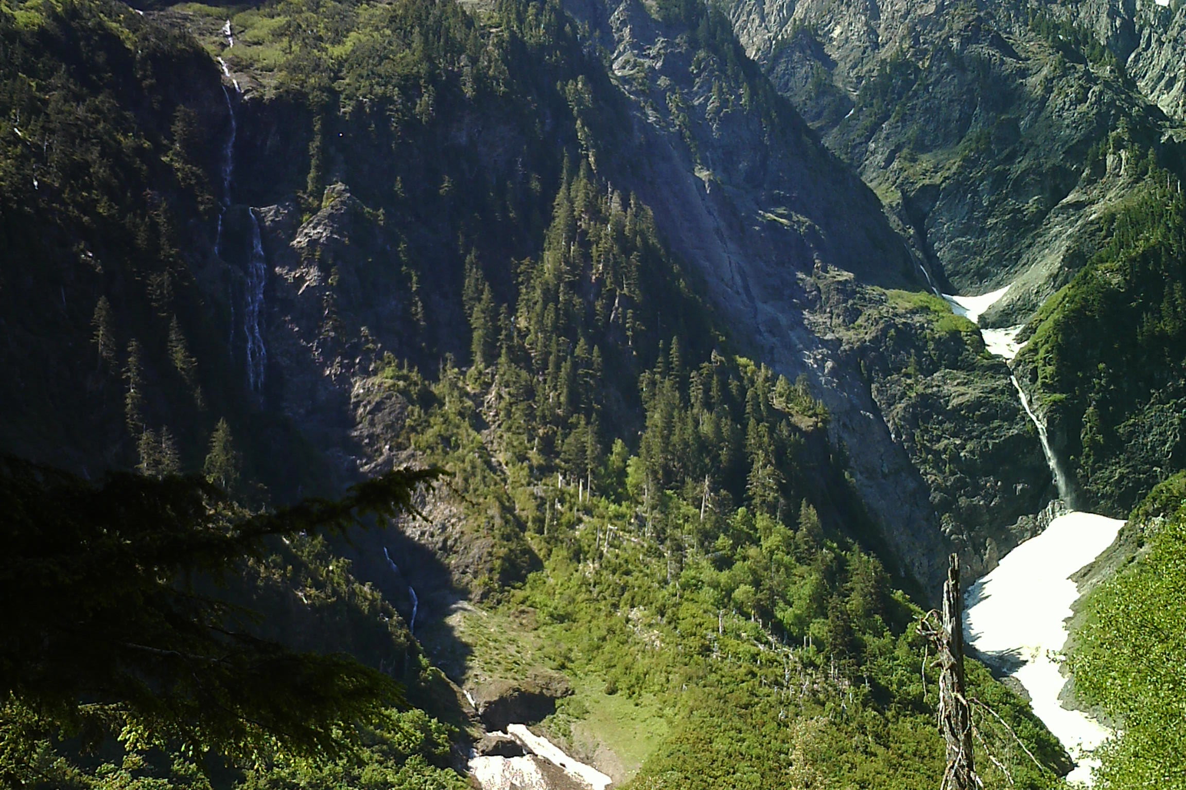 Steep forested walls and waterfalls above the East Fork Quinault River in Enchanted Valley, with snow in a gully