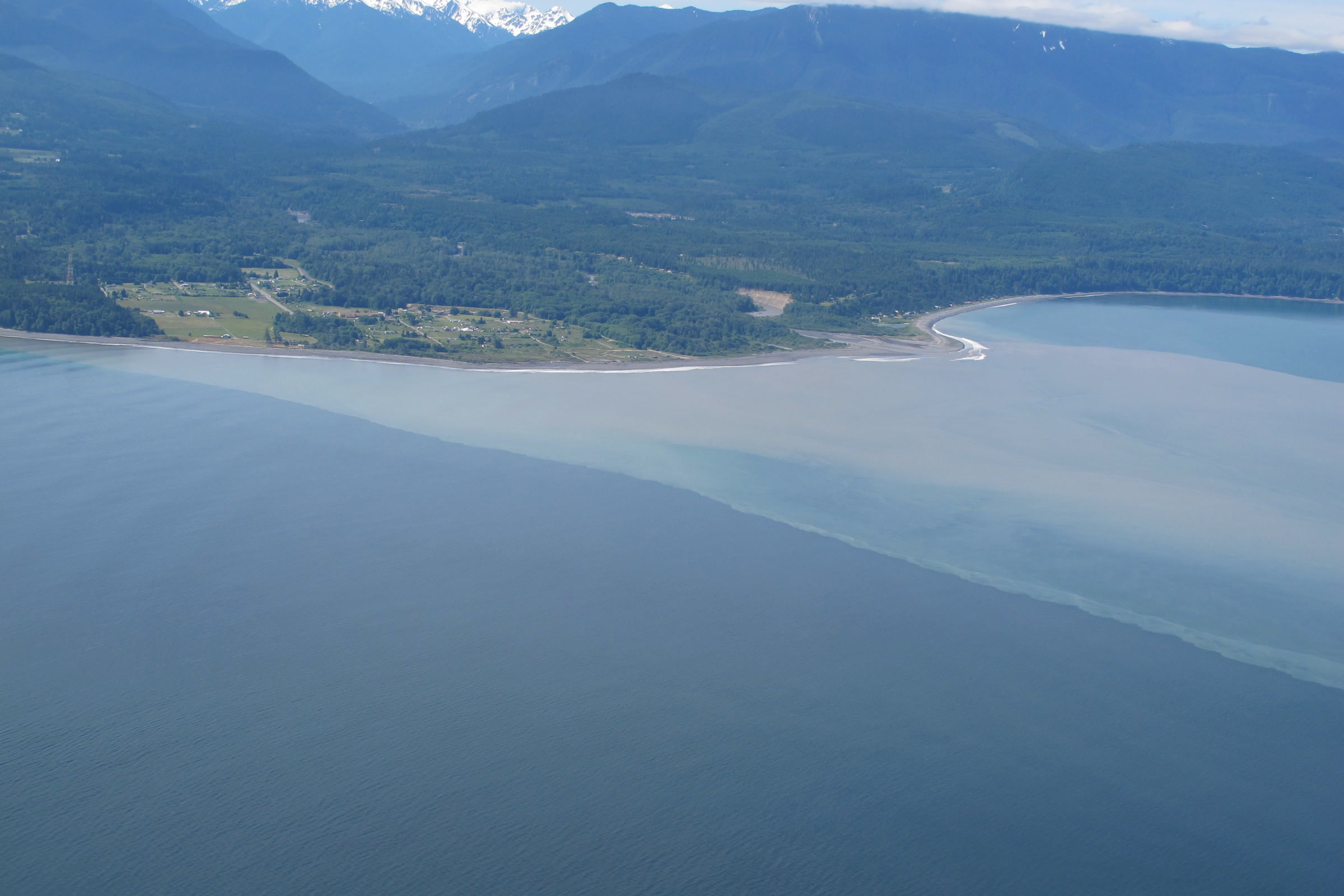 Aerial view of a pale plume of silt spreading into the blue Strait of Juan de Fuca from the Elwha River mouth, with snowy Olympic Mountains behind