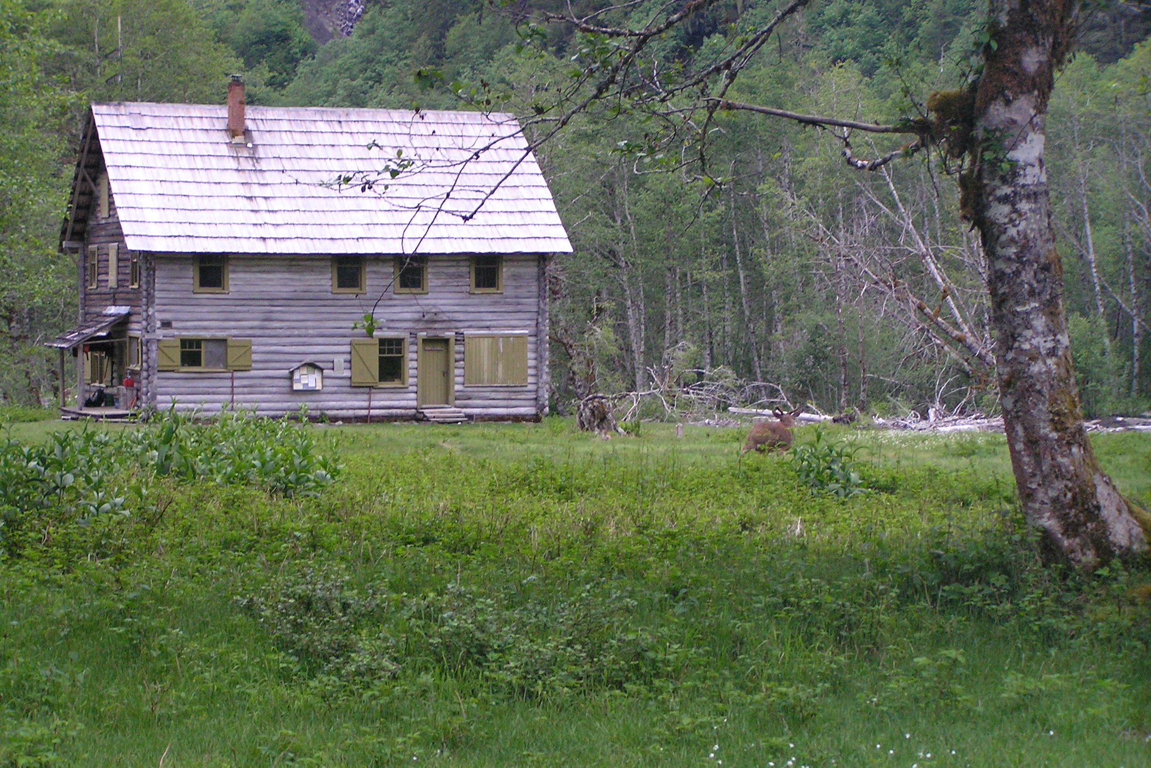 The Enchanted Valley Chalet in a green meadow edged by alder trees and forest, photographed in 2007