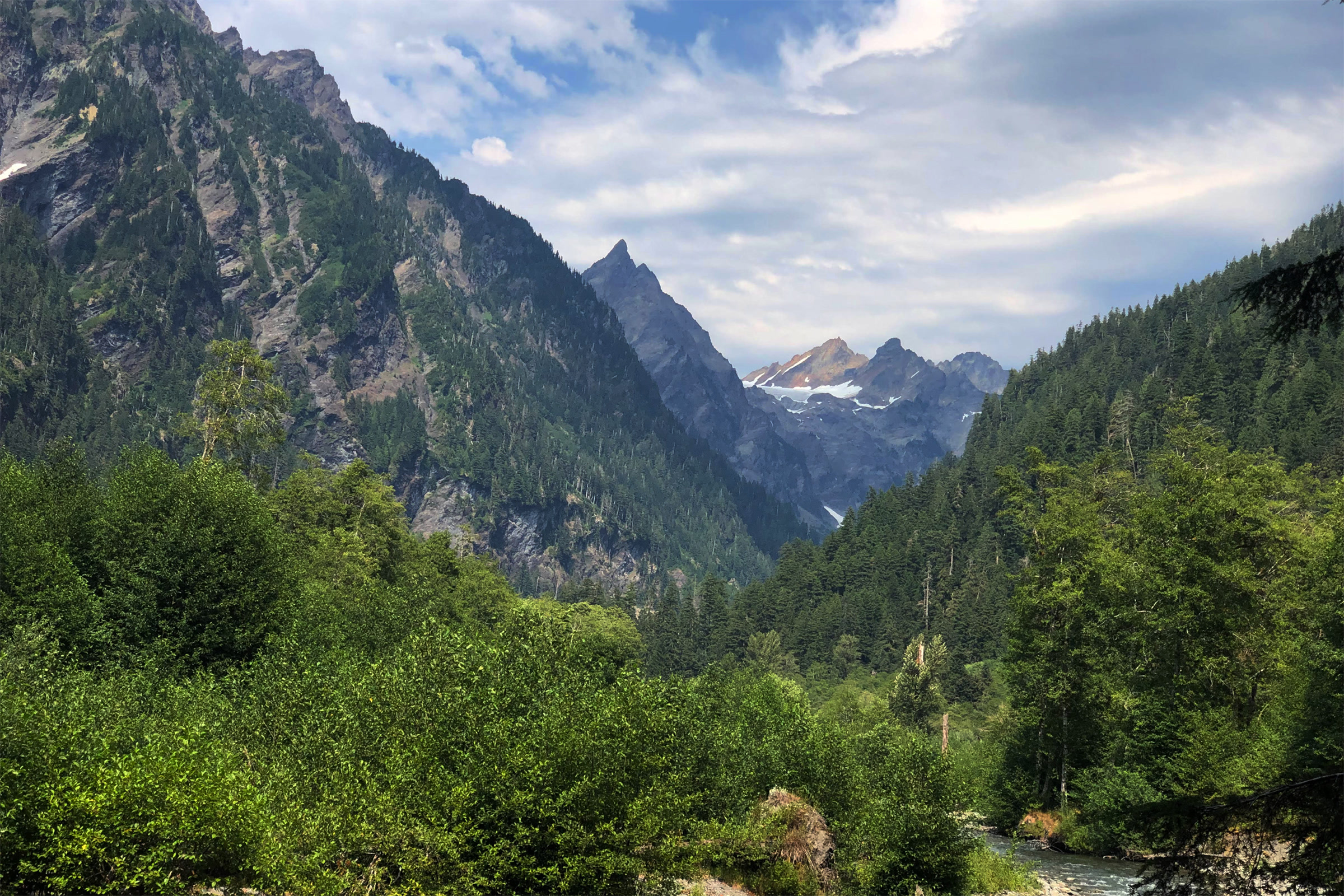 Steep forested walls and jagged peaks rising above the green floor of Enchanted Valley