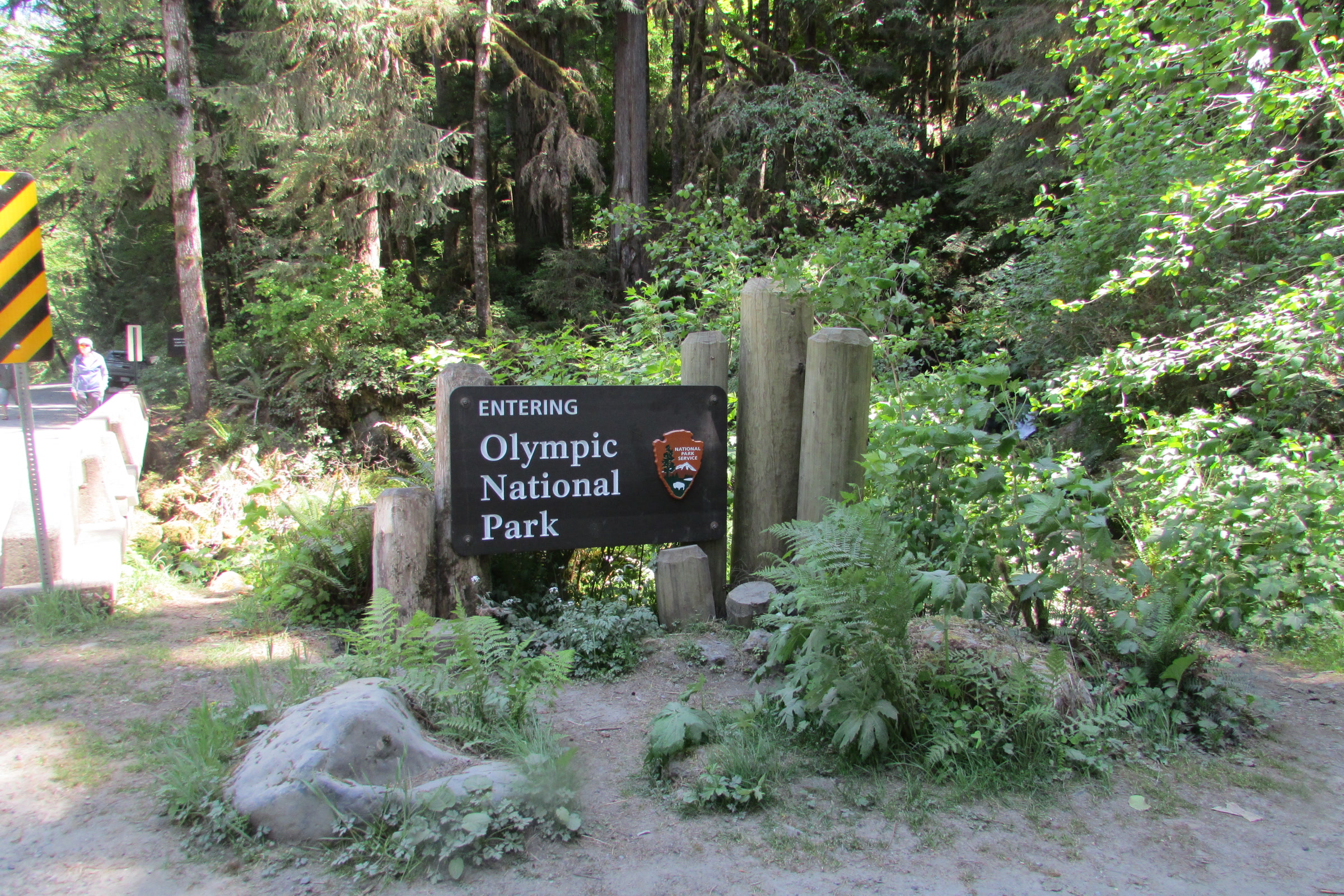 Entering Olympic National Park sign with the arrowhead emblem beside a forest road on the south side of the Quinault River