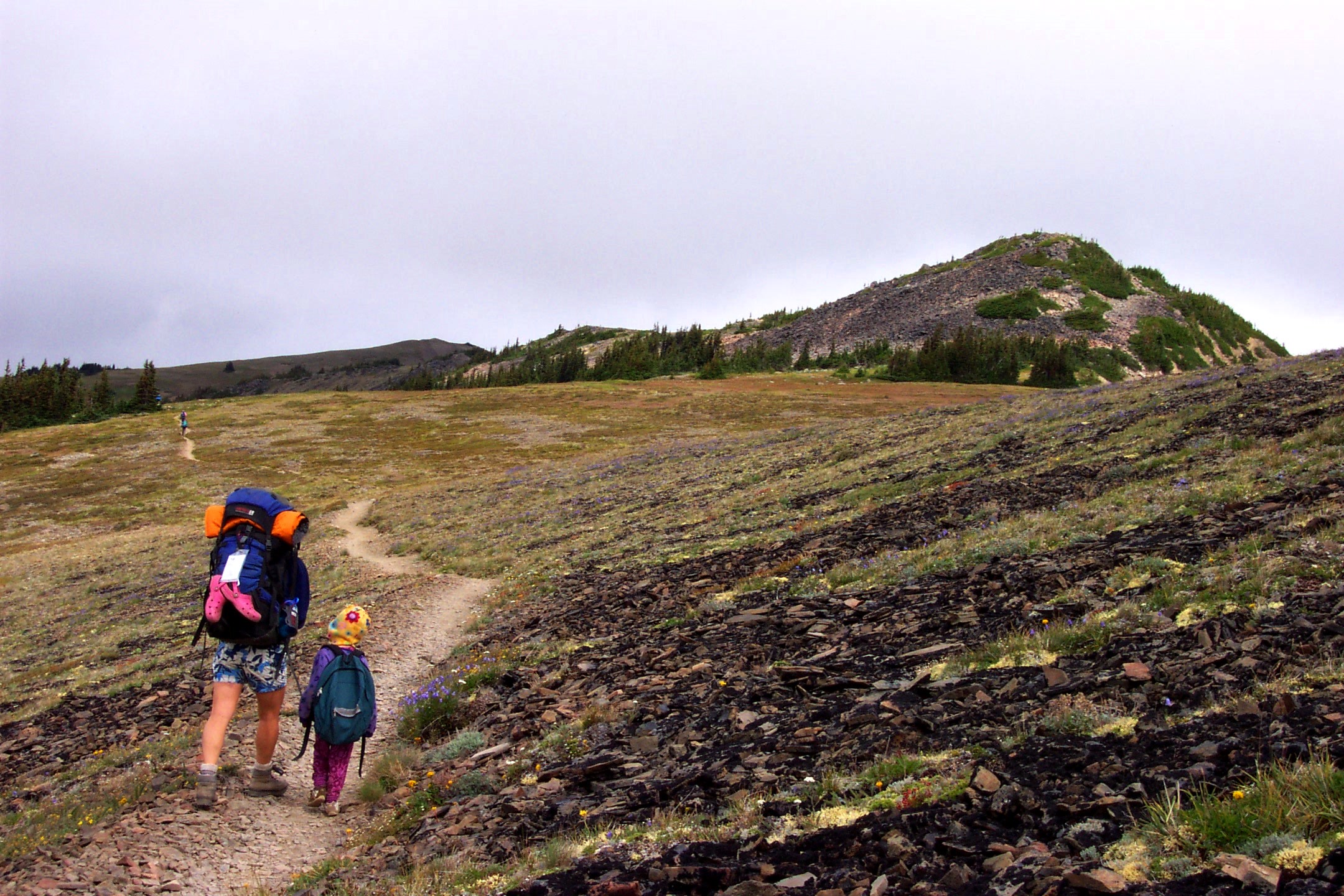 An adult and a small child with backpacks walk away up a dirt trail across an open subalpine slope in Olympic National Park