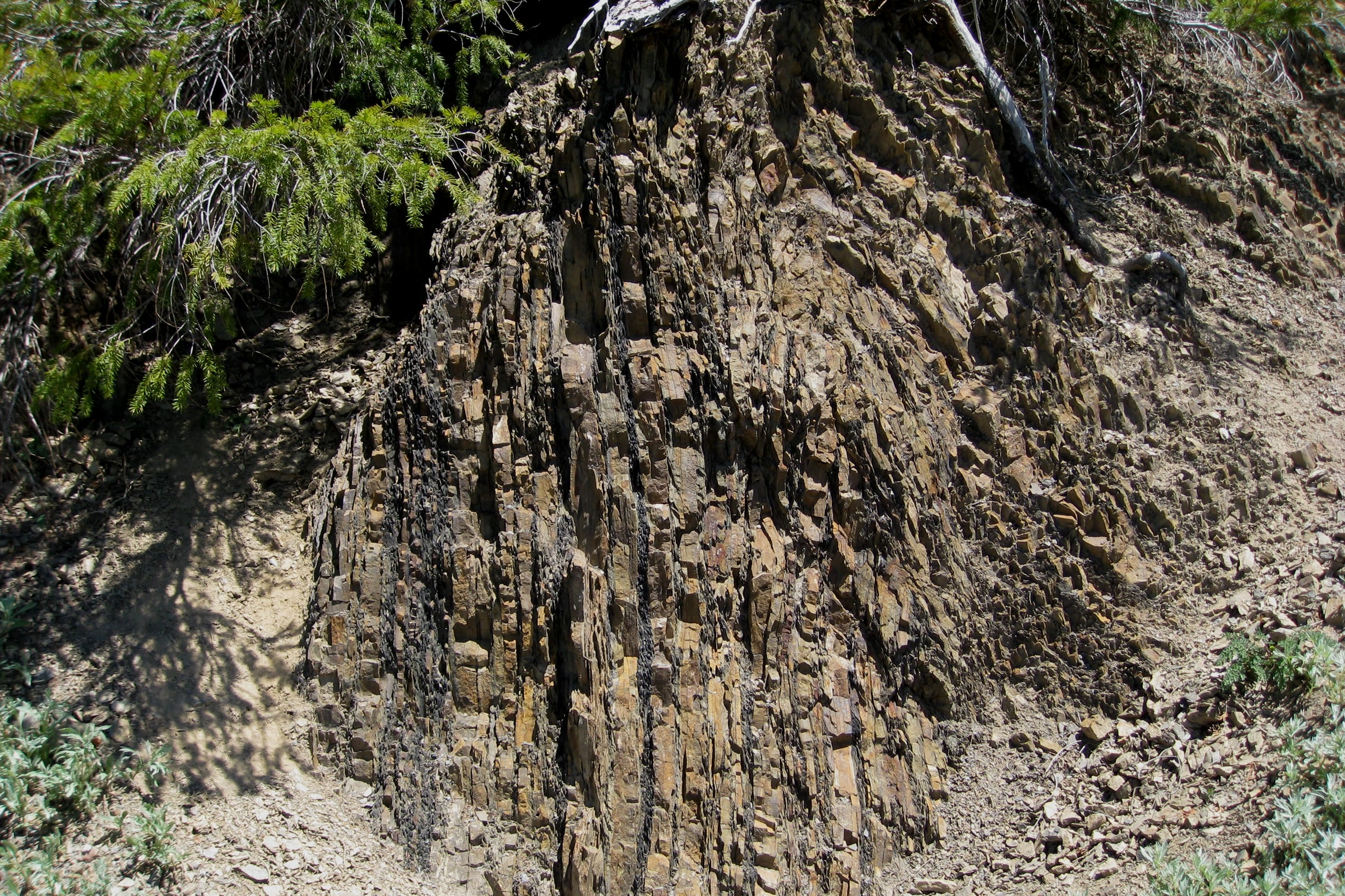 Thin layers of brown sandstone and dark shale standing almost vertical in a trailside rock face on Hurricane Hill