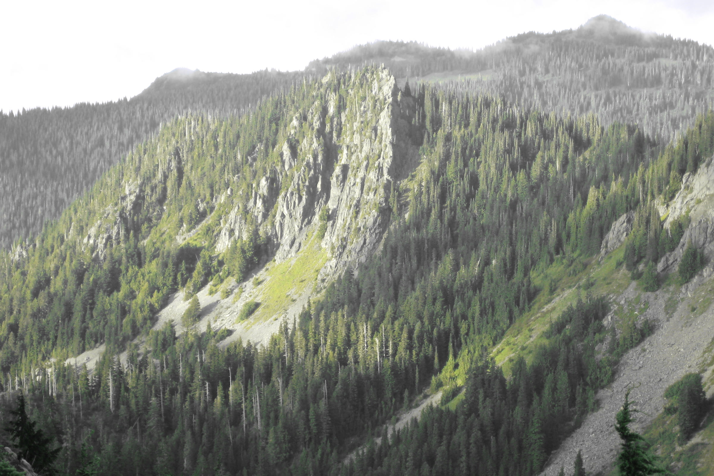 A steep forested ridge with a bare rock escarpment seen from near Heart Lake on the High Divide Trail in Olympic National Park