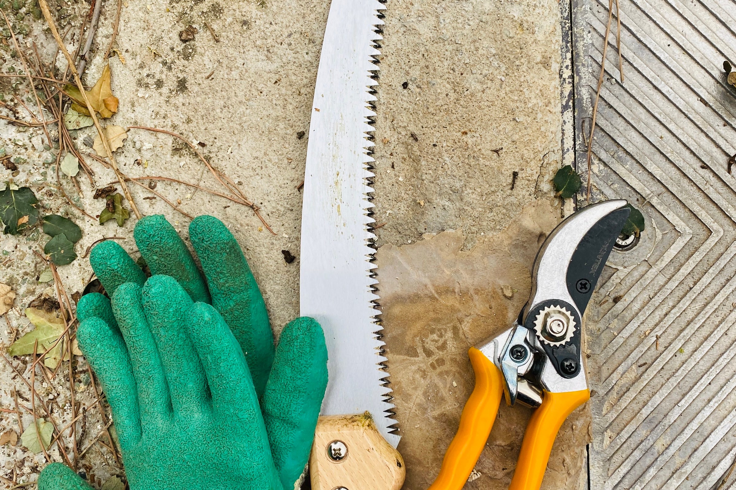 Green work gloves, a folding pruning saw and orange-handled pruning shears laid out on a stone surface