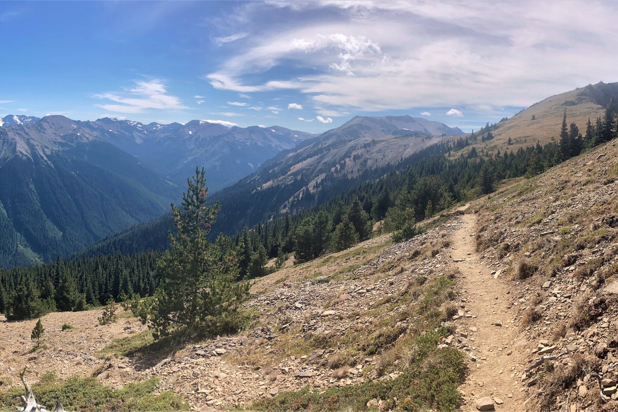 A dirt trail along a dry, rocky ridge near Maiden Peak, with deep forested valleys and rows of Olympic peaks to the left