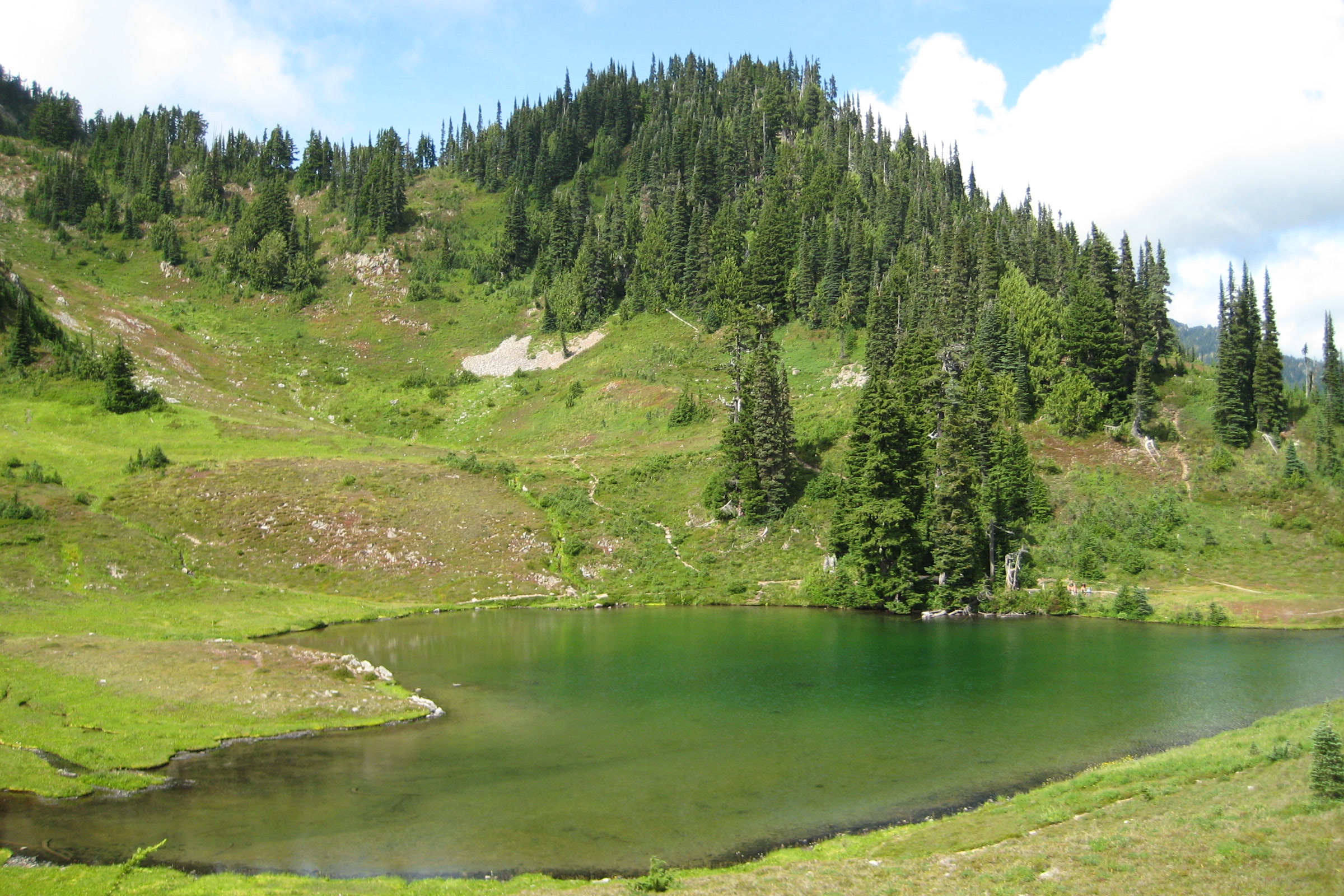 Heart Lake, a small green lake in the Sol Duc high country of Olympic National Park, ringed by meadow and subalpine firs under a partly cloudy sky