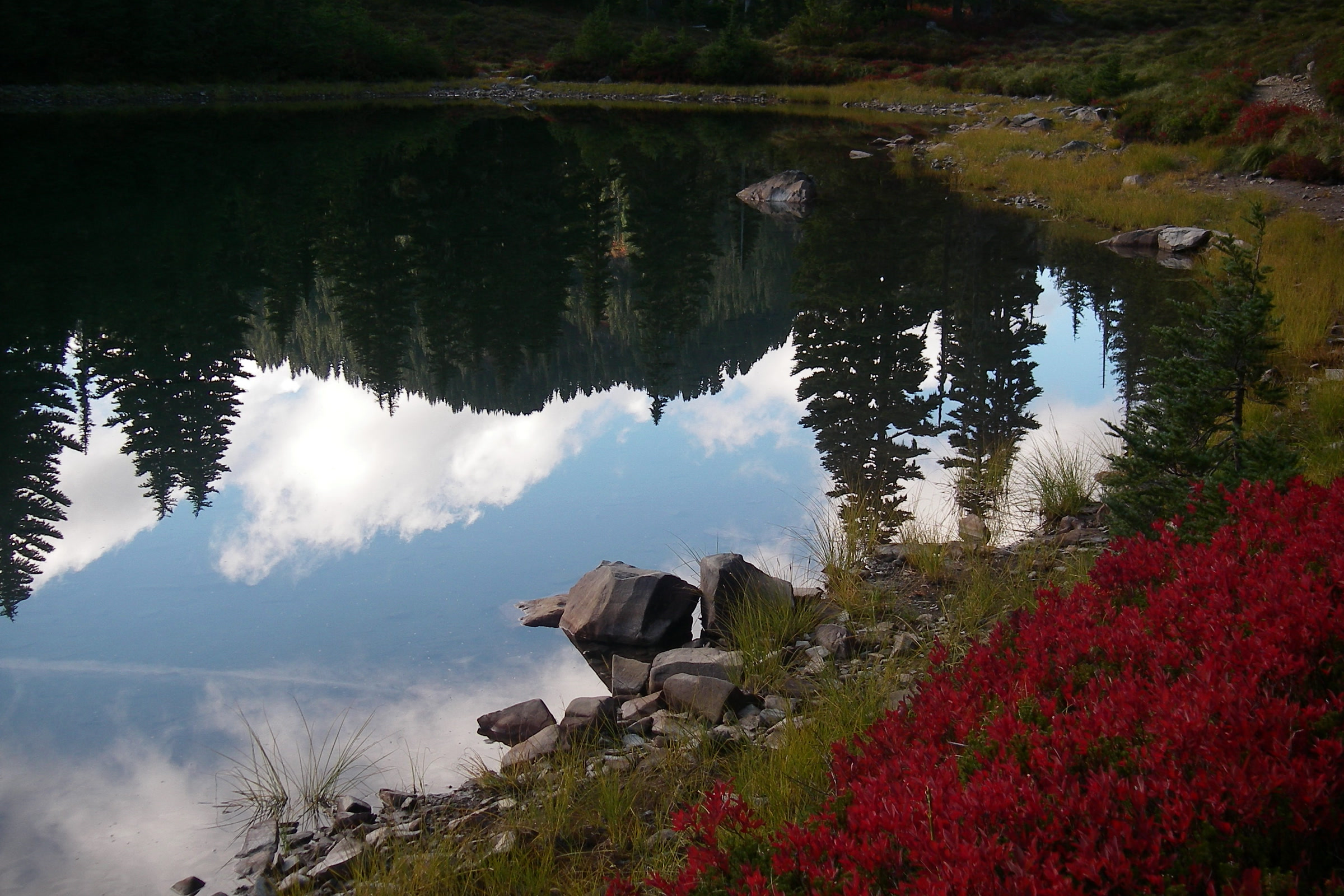 A still subalpine lake in Olympic National Park reflecting trees and sky, with bright red shrubs on the shore