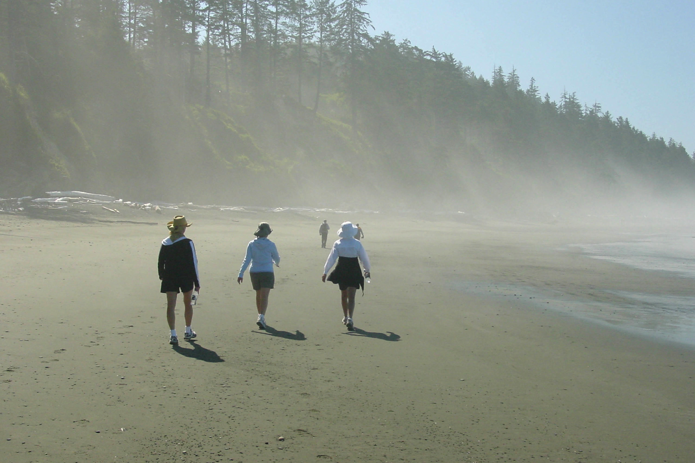 Three people in jackets and hats walking along a wide sandy beach at Kalaloch as fog drifts through the forest behind them