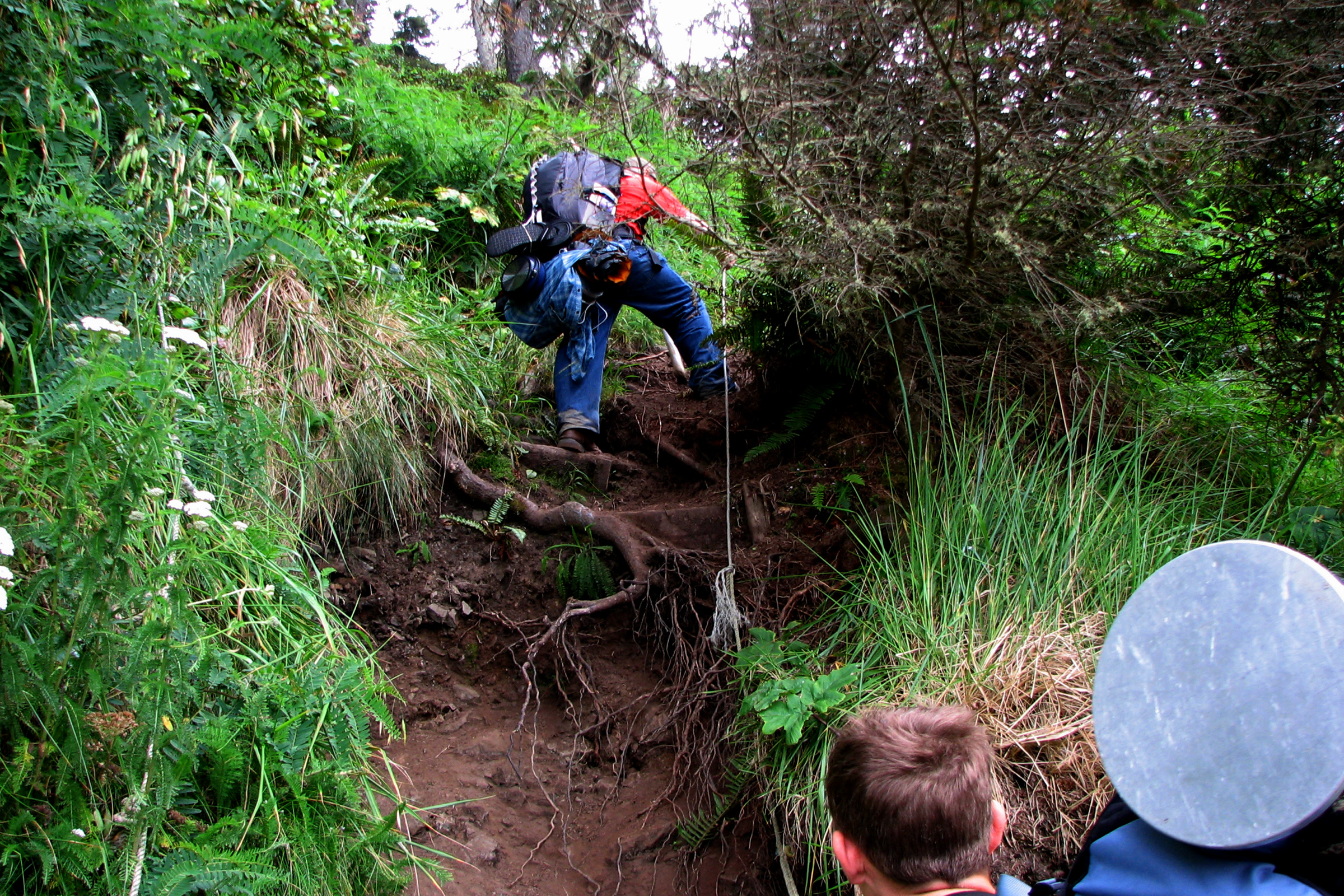 A backpacker hauling up a steep, muddy bank on a fixed rope through coastal brush, with two other hikers waiting below