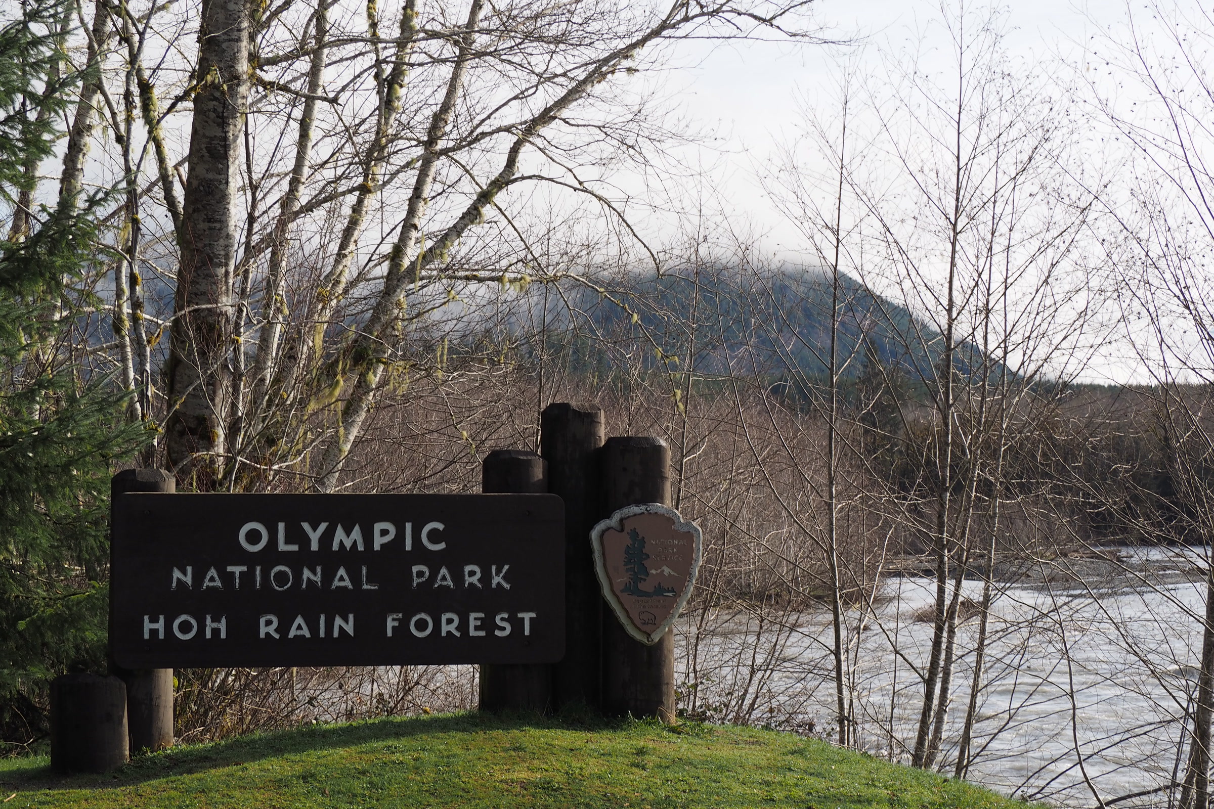 Olympic National Park Hoh Rain Forest entrance sign on the bank of the Hoh River