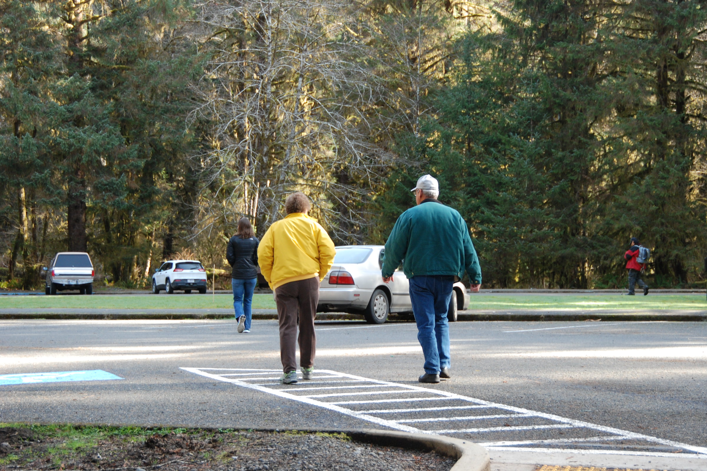 Three visitors seen from behind walking across the Hoh Rain Forest Visitor Center parking lot; park visitor centers sell passes for Olympic National Park entrance fees