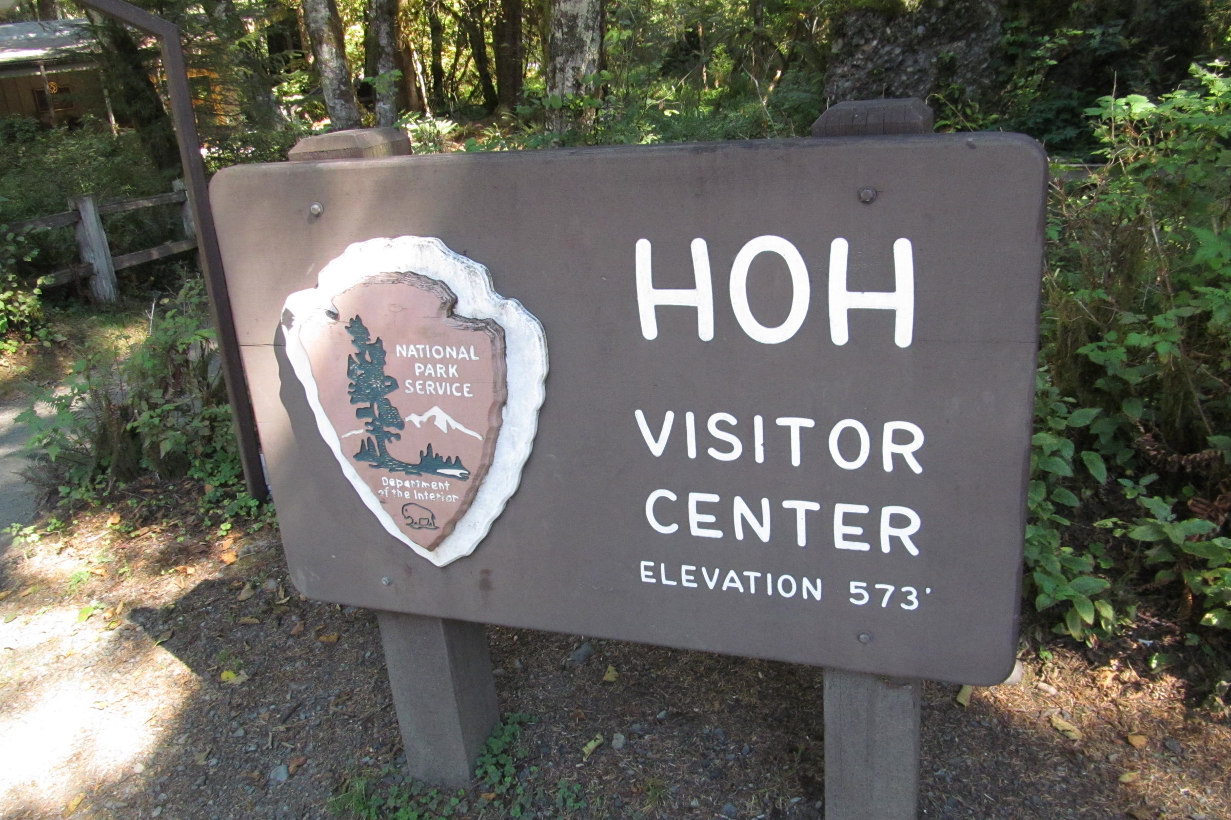 The brown wooden Hoh Visitor Center sign with the National Park Service arrowhead and an elevation of 573 feet, among ferns and trees