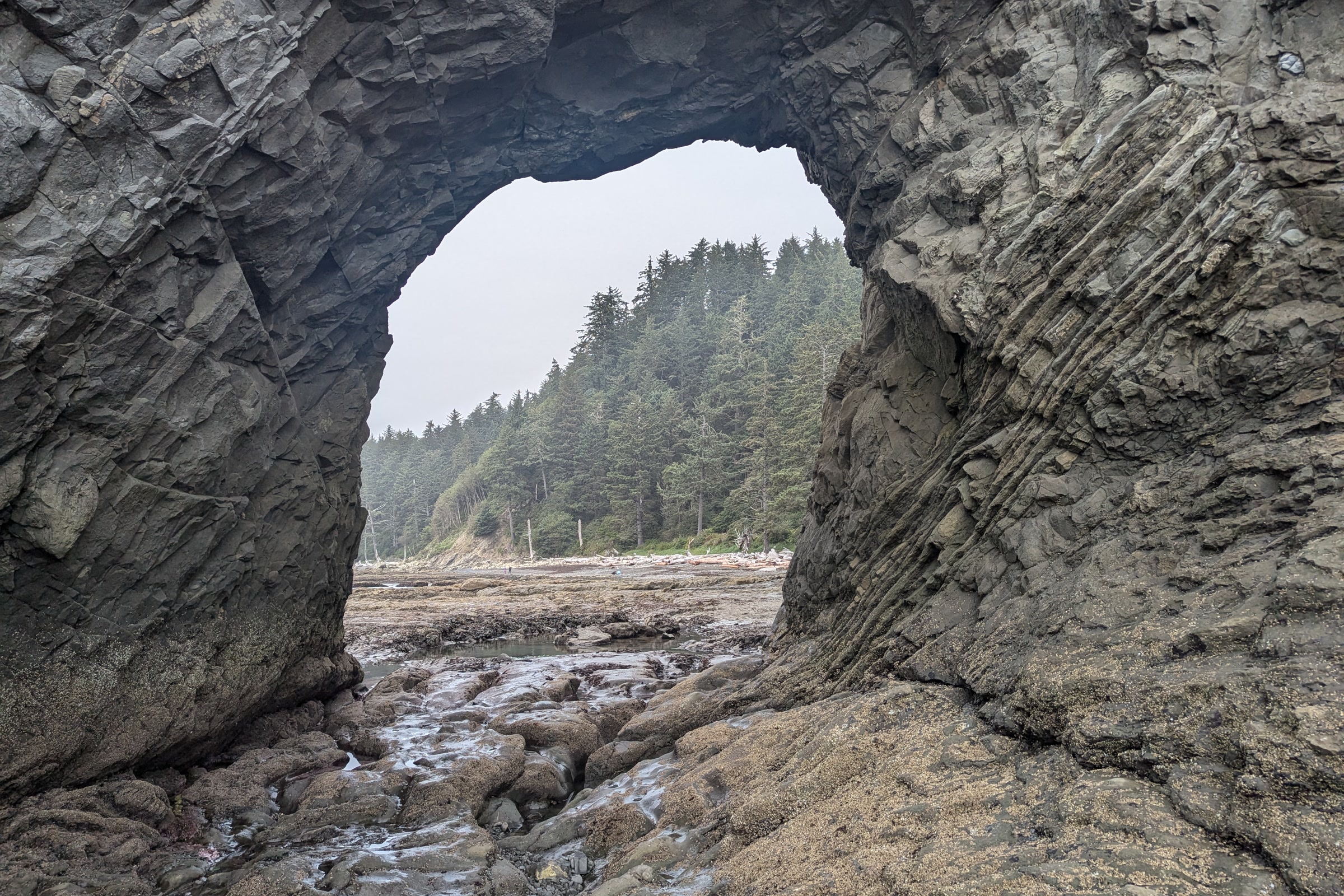 Looking through the rock arch of Hole-in-the-Wall at low tide, with wet boulders on the floor and forest on the far side