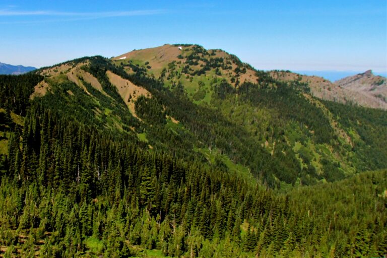 Hurricane Hill Trail: A Hiking Guide