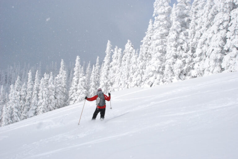 Hurricane Ridge in Winter: What to Know