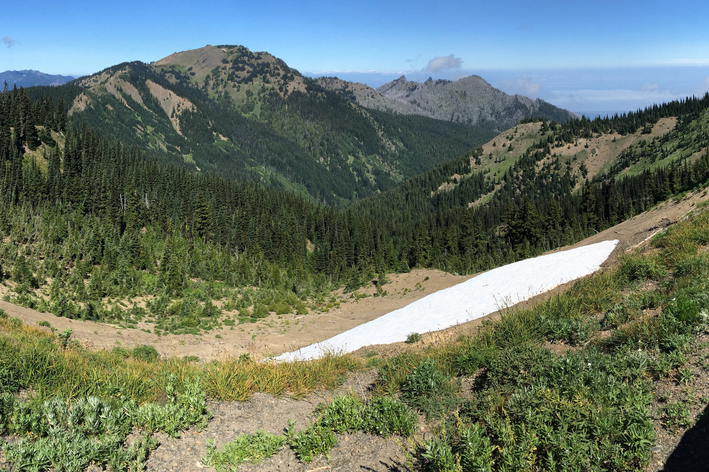 View from the overlook on the Big Meadow trail at Hurricane Ridge across green slopes and ridges toward the Strait of Juan de Fuca
