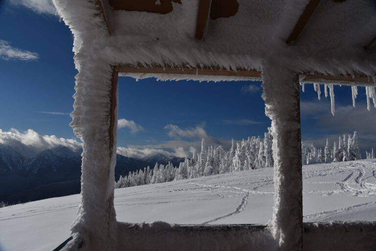 Giving Tuesday 2026: Support Olympic National Park
