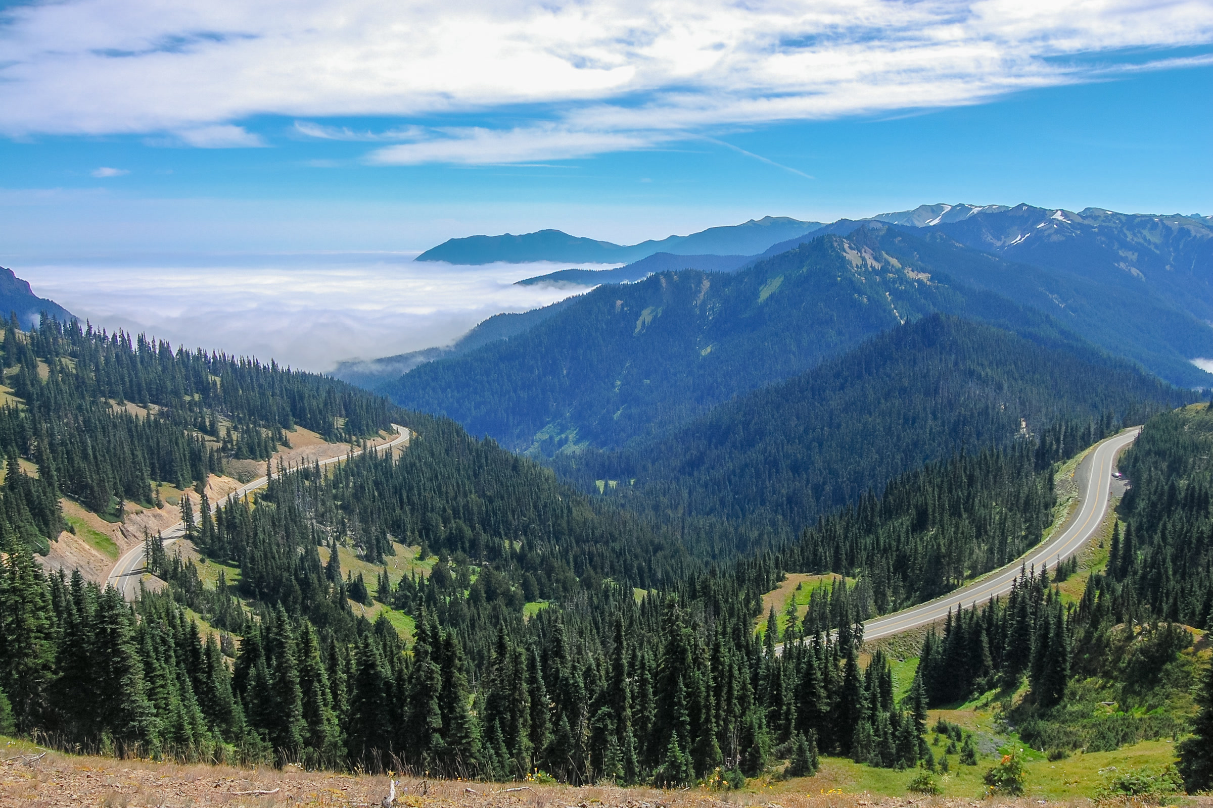 Hurricane Ridge Road winding along forested slopes below the Olympic Mountains, with a sea of low cloud filling the valleys toward Port Angeles