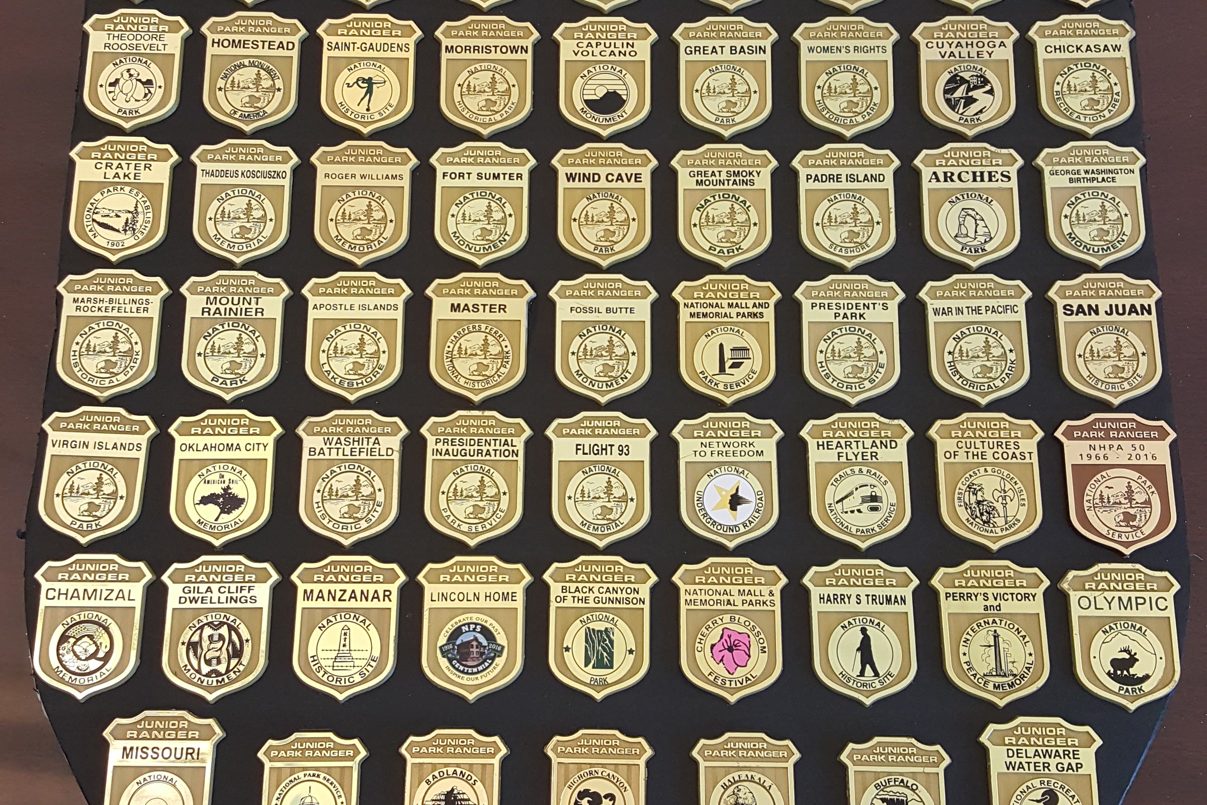 Rows of wooden Junior Ranger badges from many national parks, including Olympic, pinned to a display board