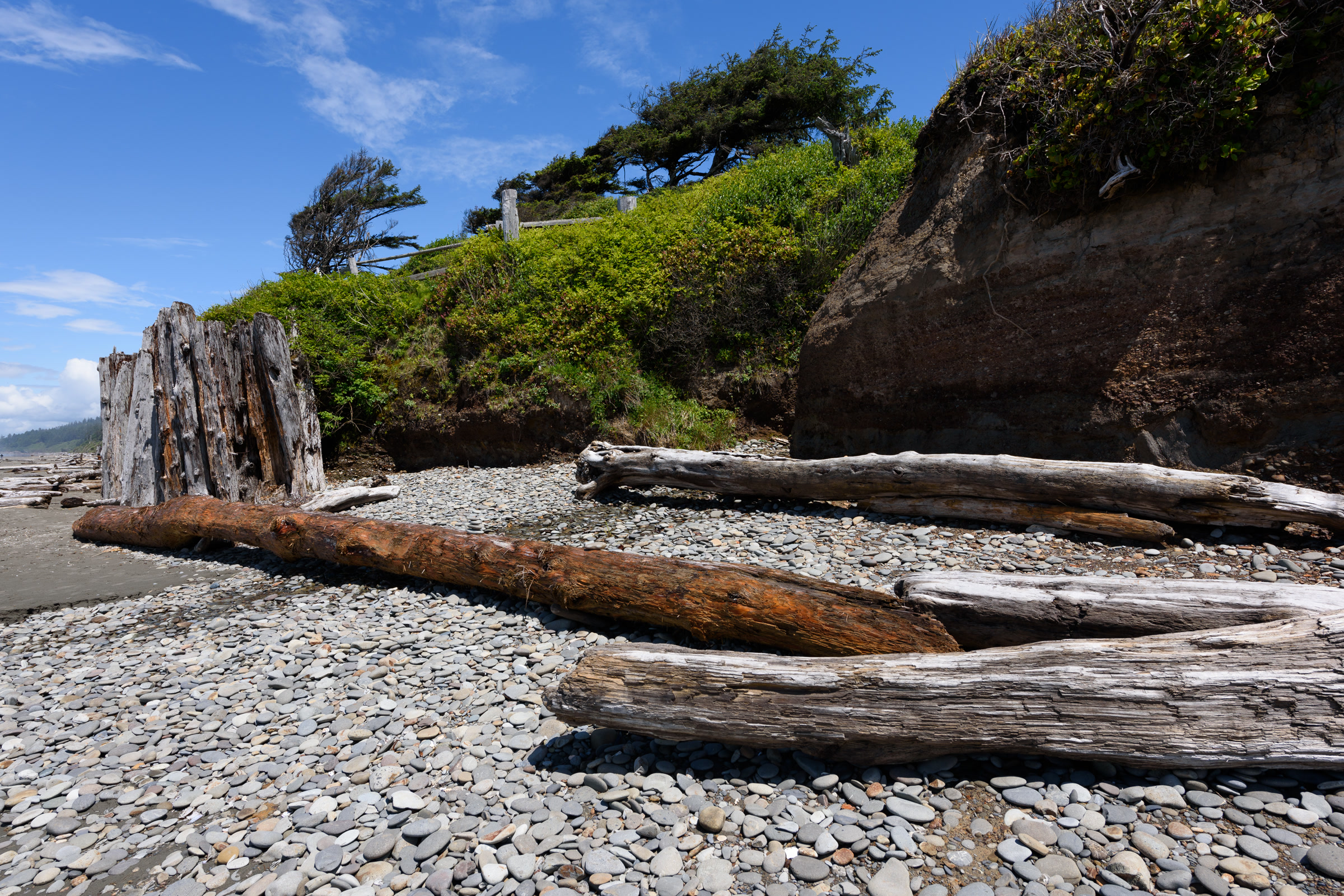 Bleached driftwood logs on a cobble beach below a wind-shaped bluff at Kalaloch Beach on a sunny June day