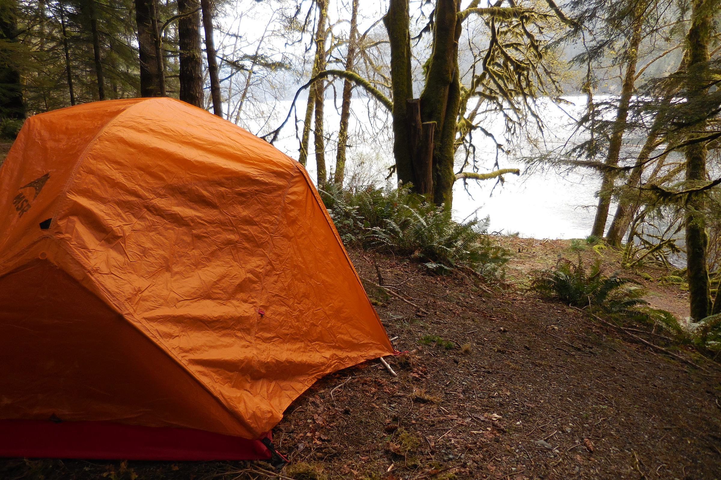An orange dome tent pitched on a forest campsite in the Lake Crescent area