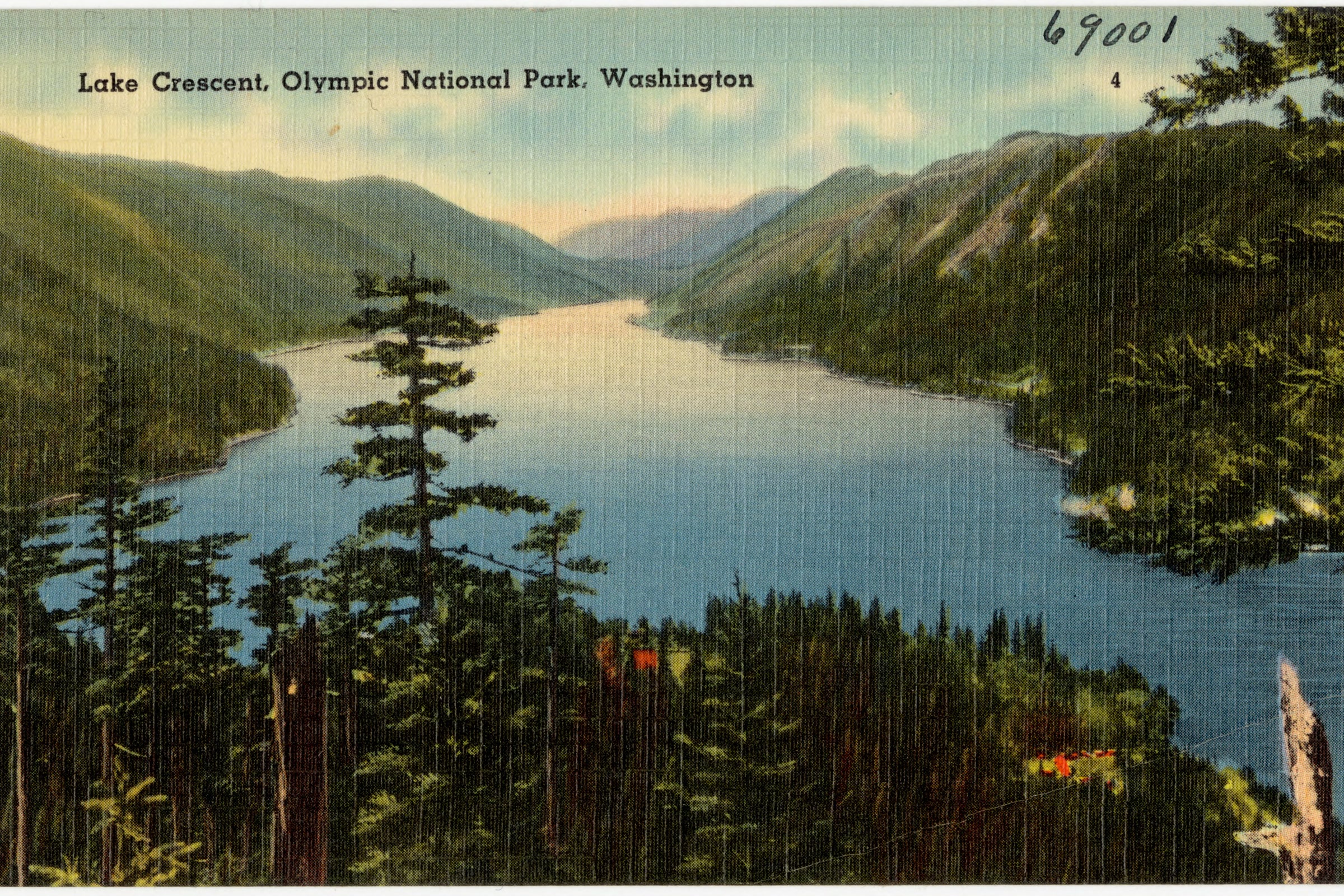A colourful mid twentieth century postcard of Lake Crescent seen from above, winding between steep forested ridges