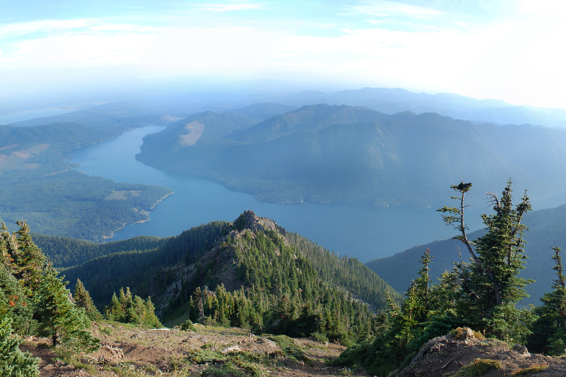 Lake Cushman stretching between forested ridges far below, seen from subalpine trees on Mount Ellinor in Olympic National Forest