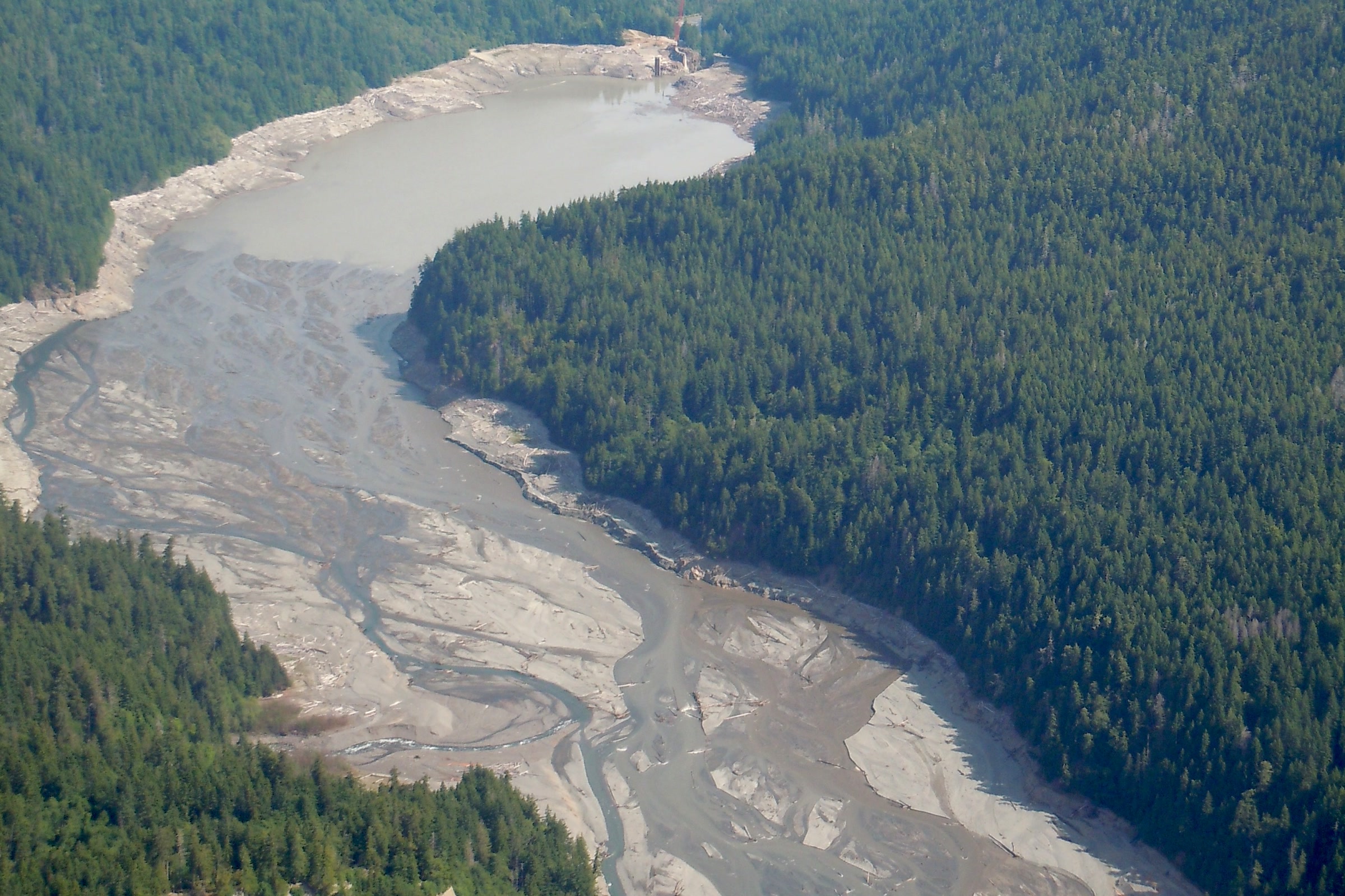 Aerial view of the drained Lake Mills reservoir, a wide grey bed of sediment with the Elwha River braiding through it between forested slopes