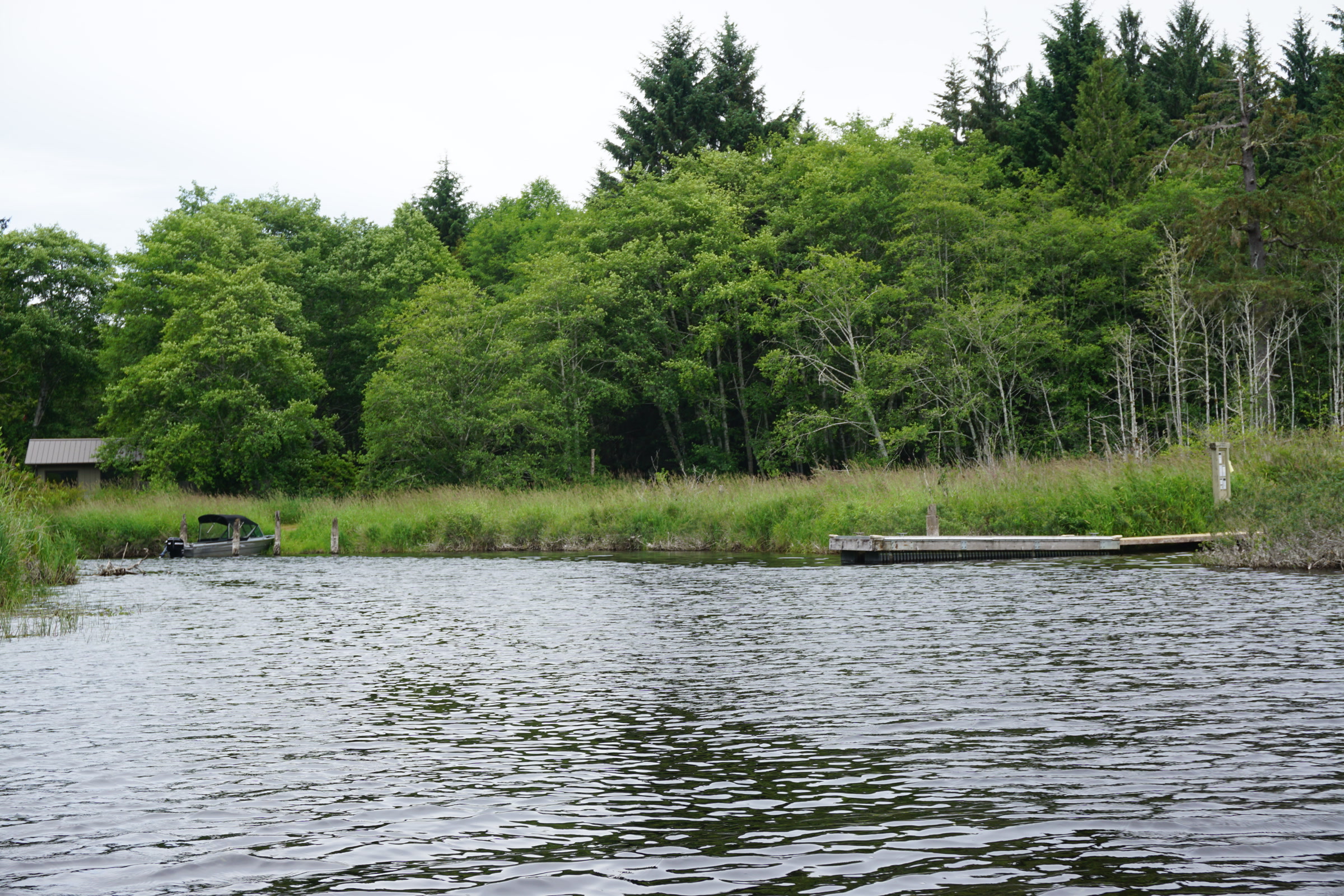 Calm water at the north end of Lake Ozette with a small dock, a boat and dense green forest along the shore
