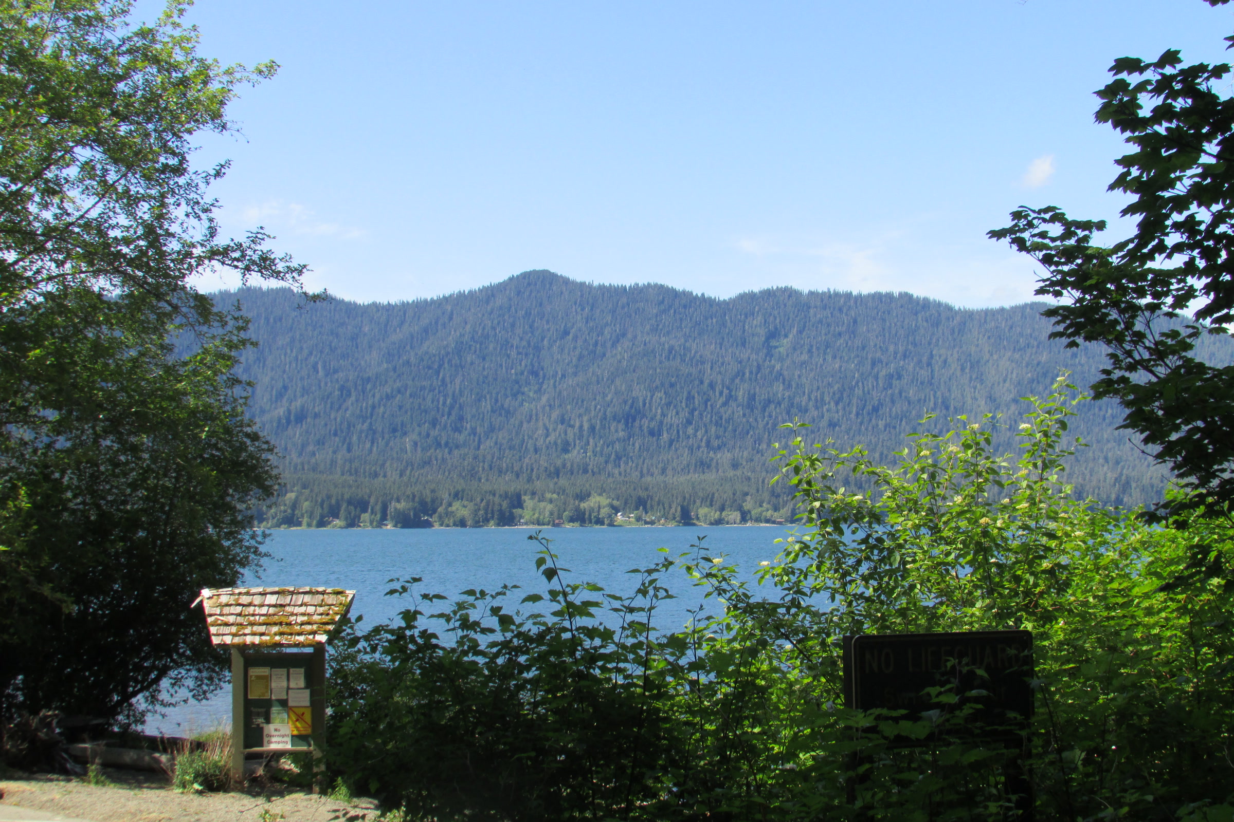 Blue Lake Quinault seen through leafy shrubs from a shoreline day use area, with a forested ridge across the water