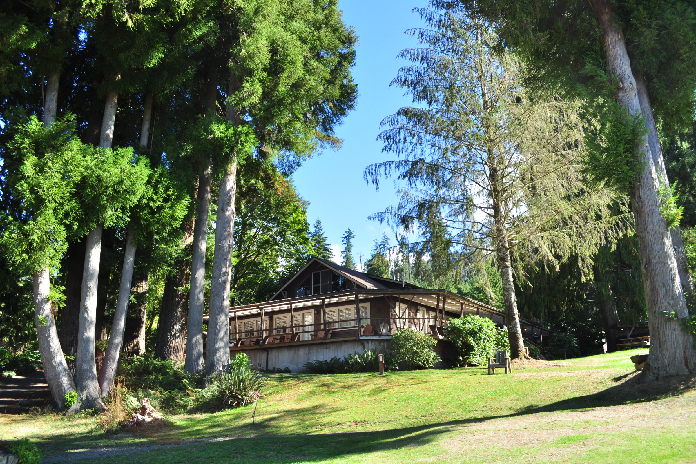 A timbered boathouse building on a sunny lawn beneath tall conifers and maples at Lake Quinault Lodge