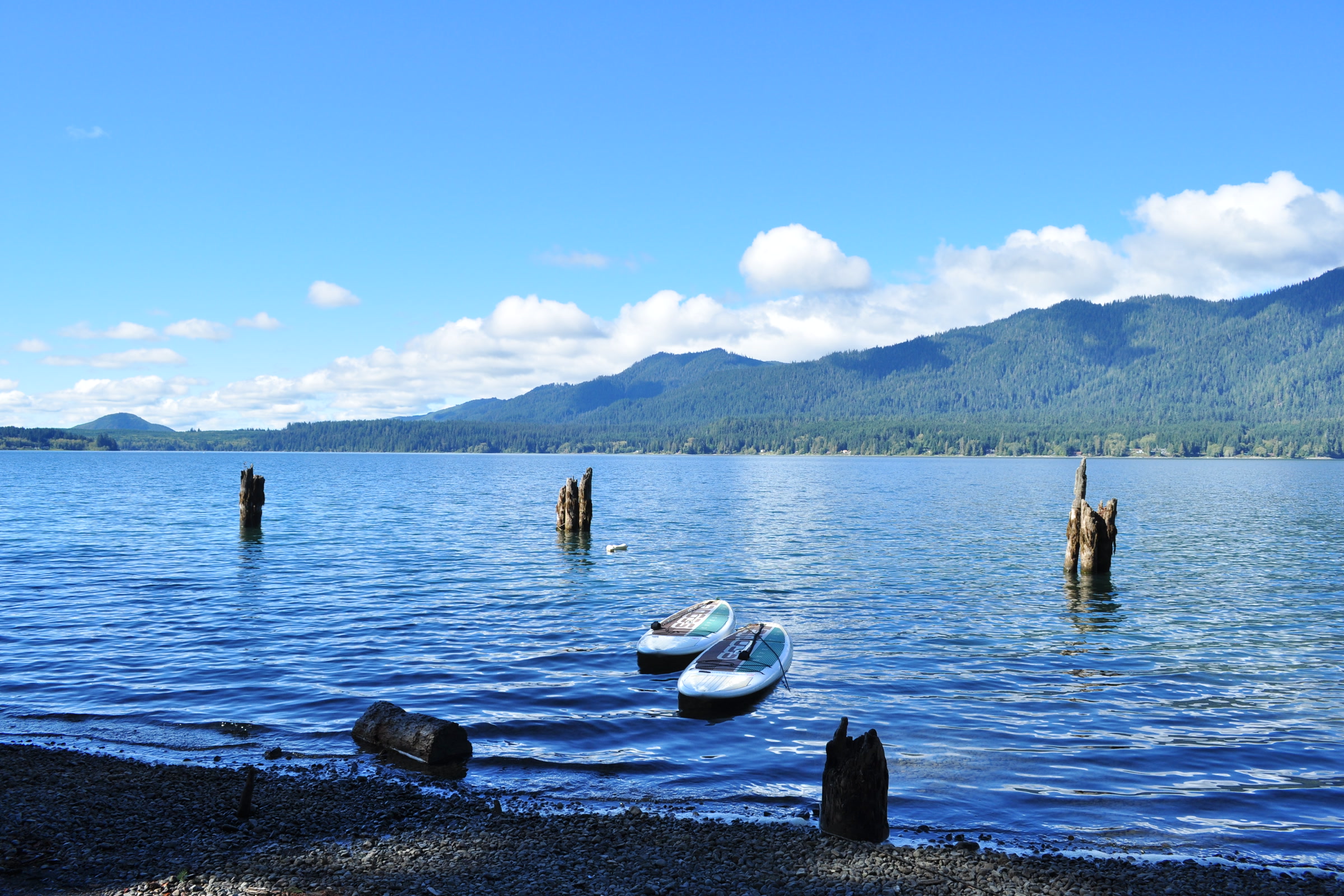 Two small boats and old pilings in the blue water of Lake Quinault below forested hills, seen from the beach at Lake Quinault Lodge
