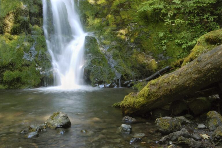 Olympic National Park Waterfalls: The Best Falls to Visit