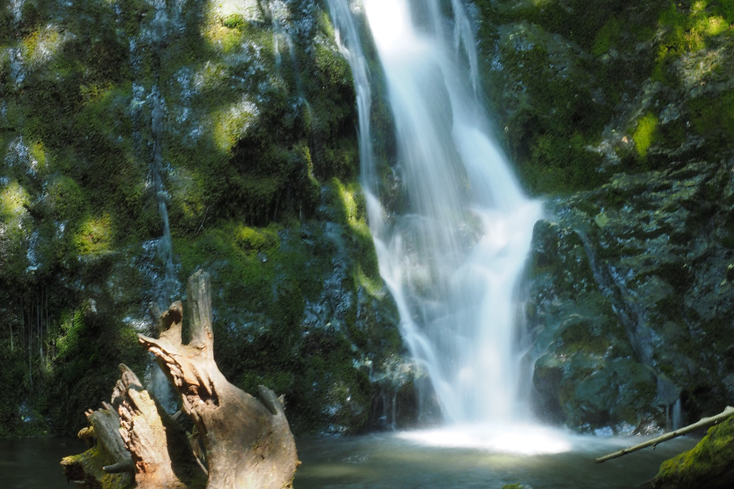 Madison Falls pouring down a mossy rock face into a small pool, with a weathered stump in the foreground