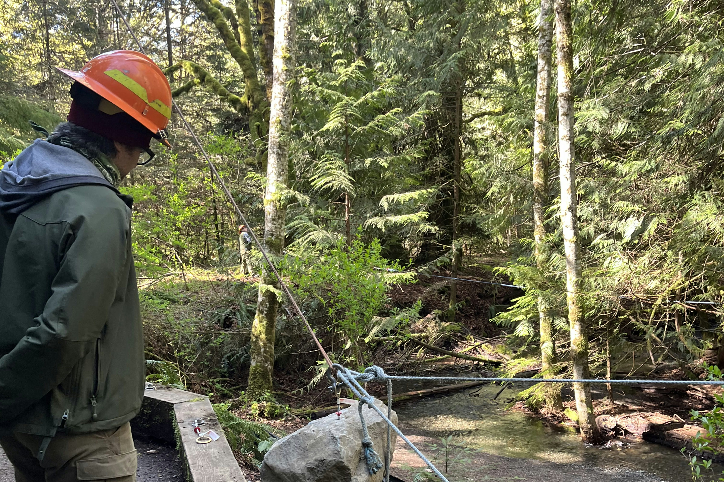 A trail crew member in an orange hard hat watches a boulder being moved with ropes and pulleys beside a forest creek on the Madison Falls trail