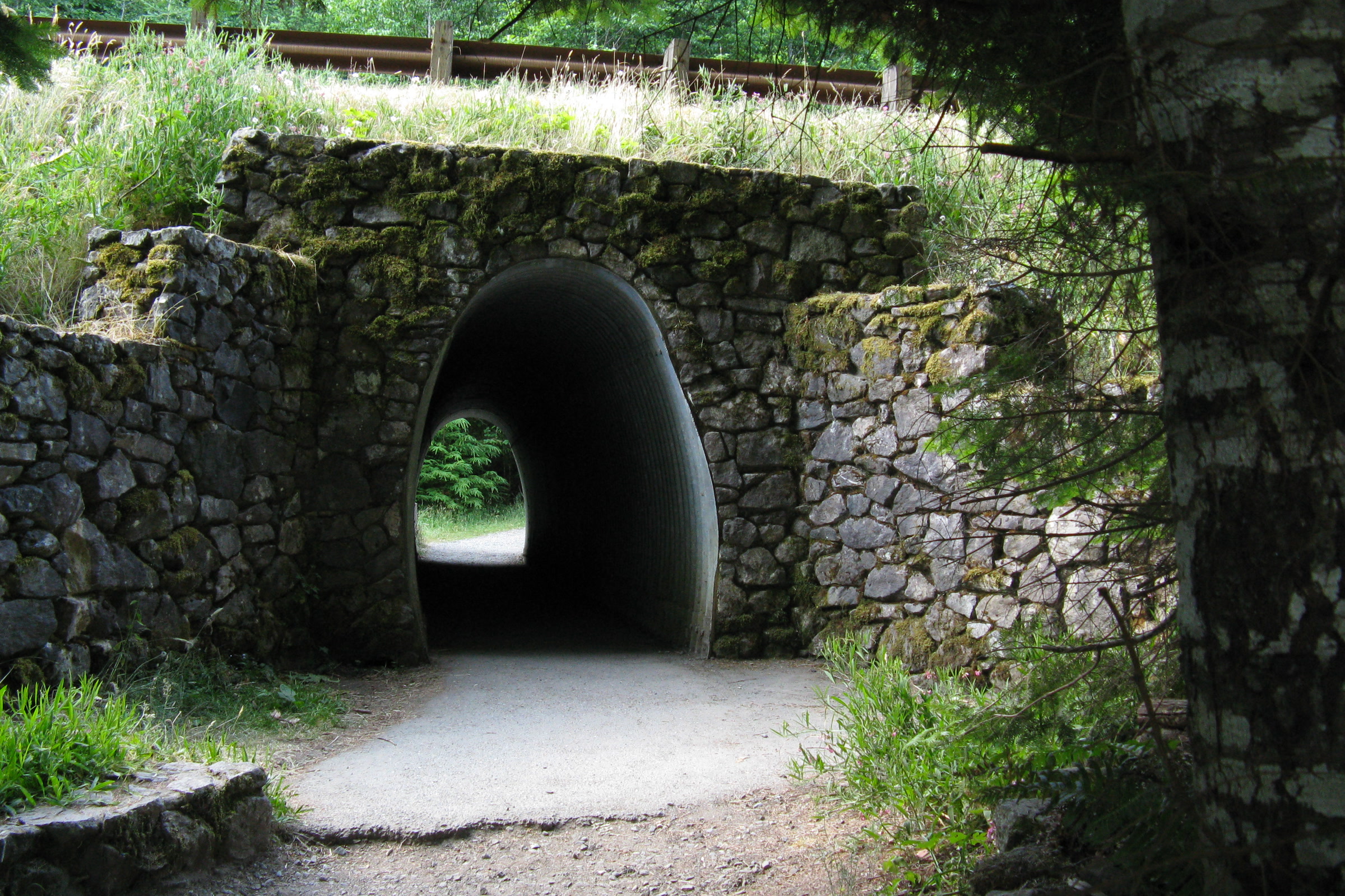 A stone arched tunnel carrying the Marymere Falls trail under Highway 101, with a gravel path leading into it