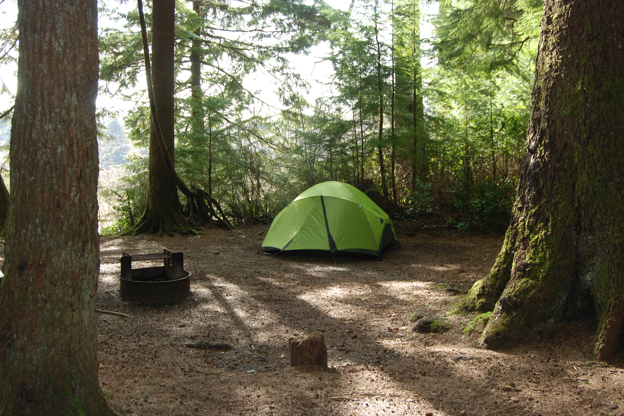 A green tent pitched on a campsite with a fire ring among tall trees at Mora Campground