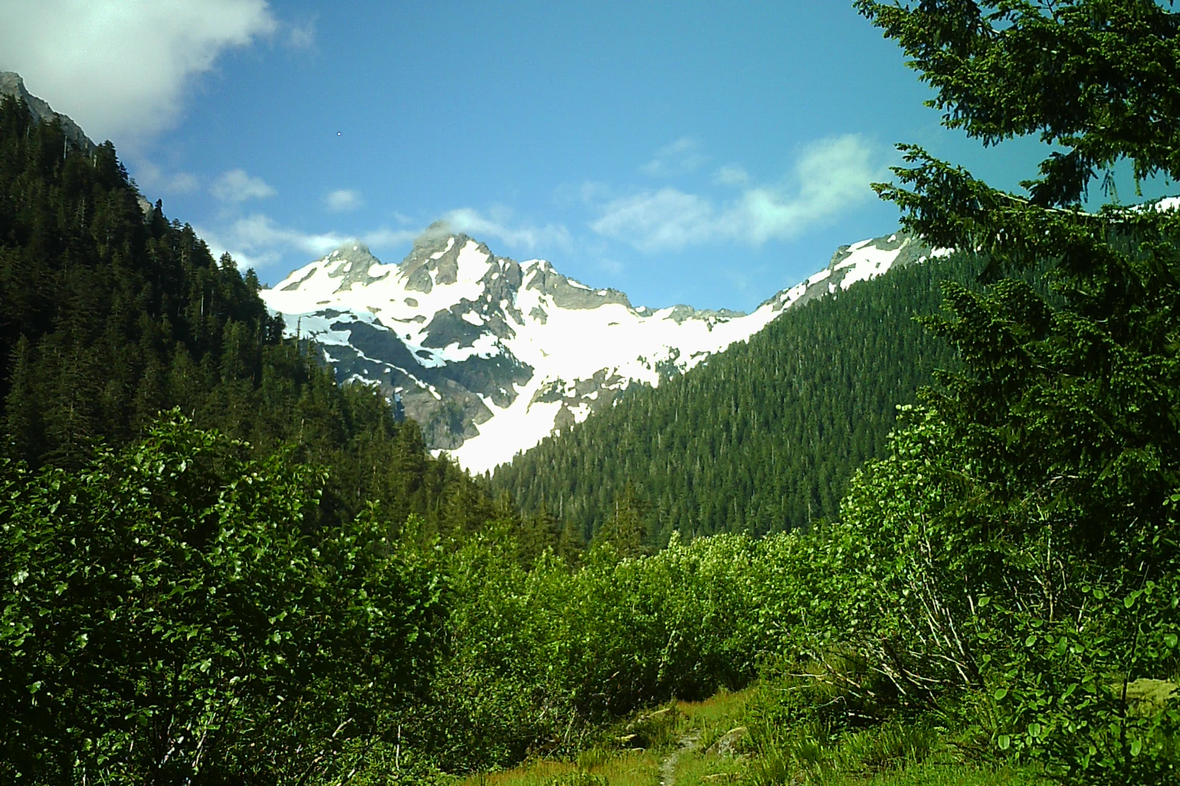 Snowy Mount Anderson rising above forested slopes and a green meadow in the upper East Fork Quinault valley