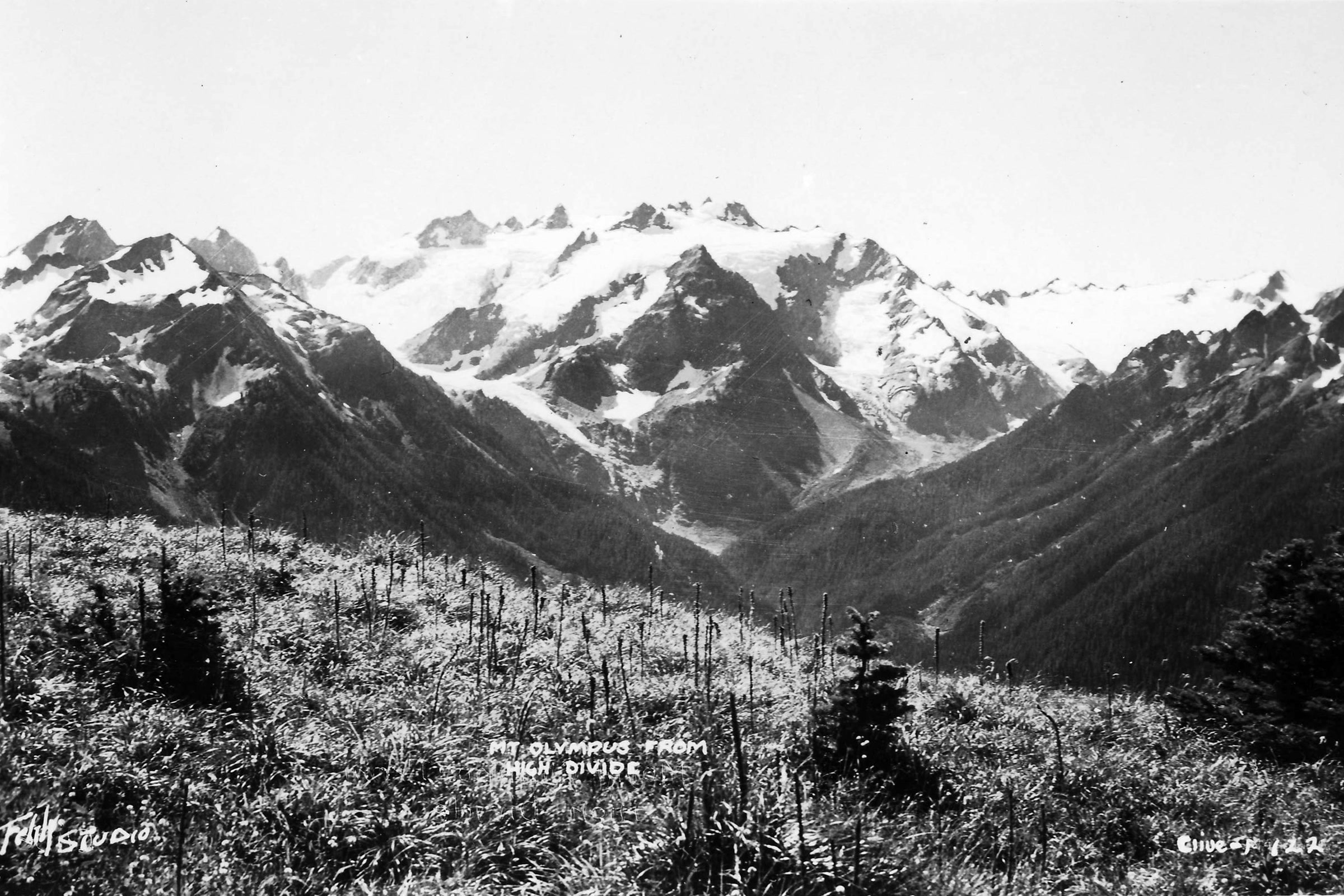 Historic black and white photograph of glacier covered Mount Olympus seen from a meadow on the High Divide