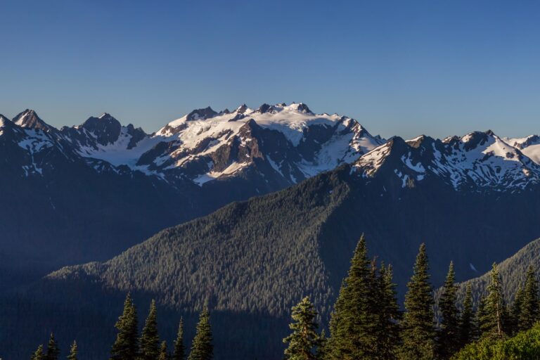 Olympic National Park World Heritage Site: Why It Matters